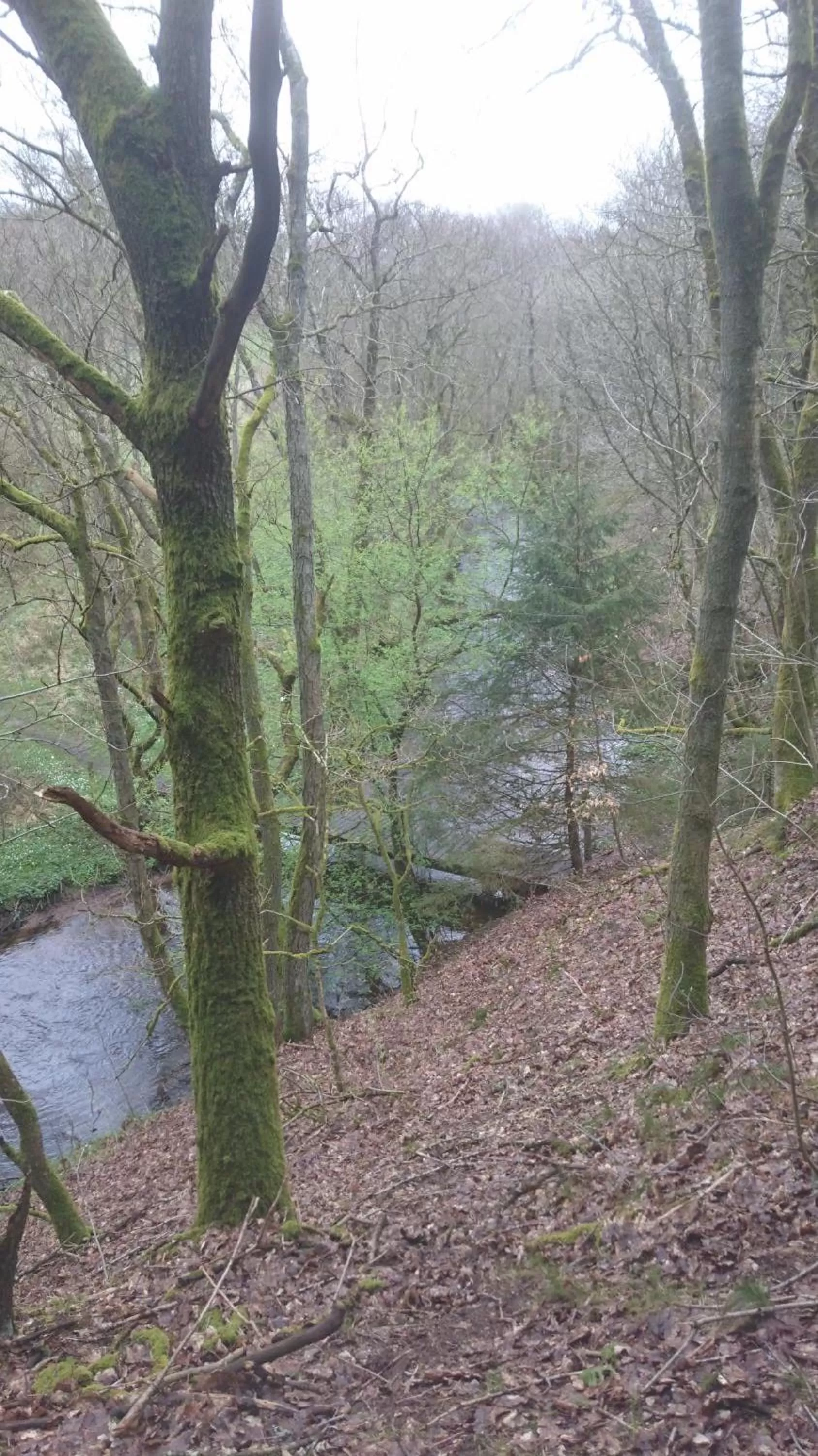 Nearby landmark, Natural Landscape in Egtved Hotel