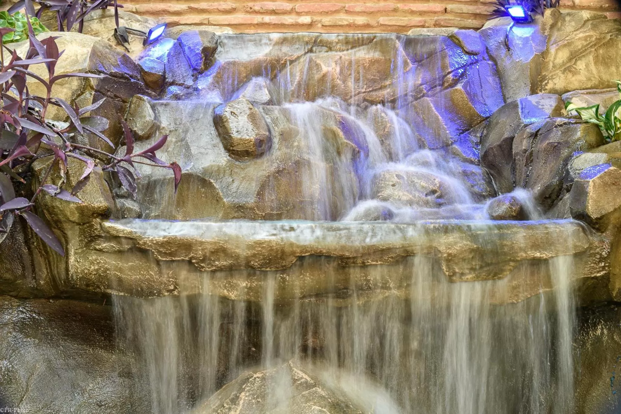 Garden in Tiflis Hotel