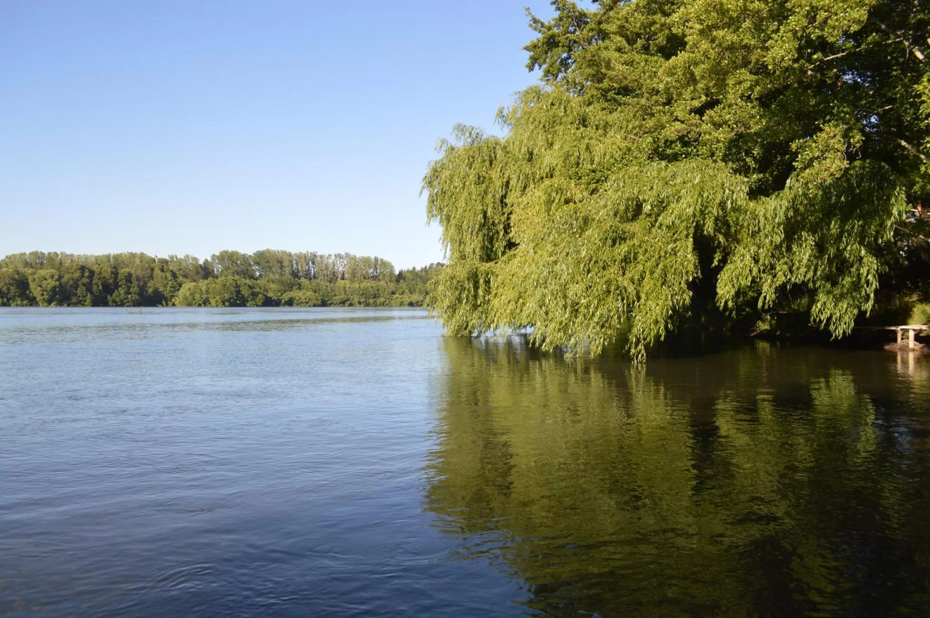 Coyunche Cabañas y Camping Laja & San Rosendo