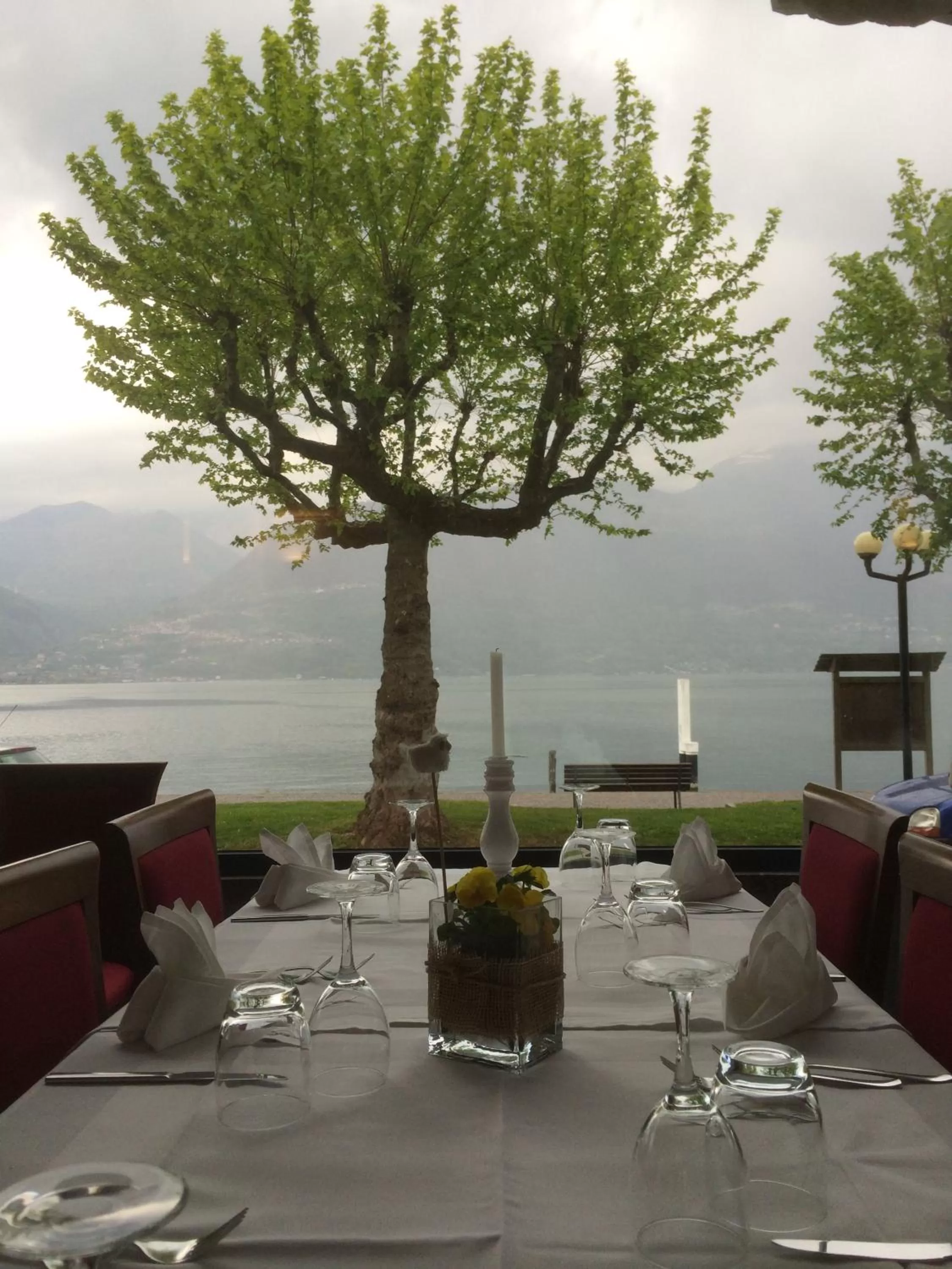 Restaurant/places to eat in Hotel Risi