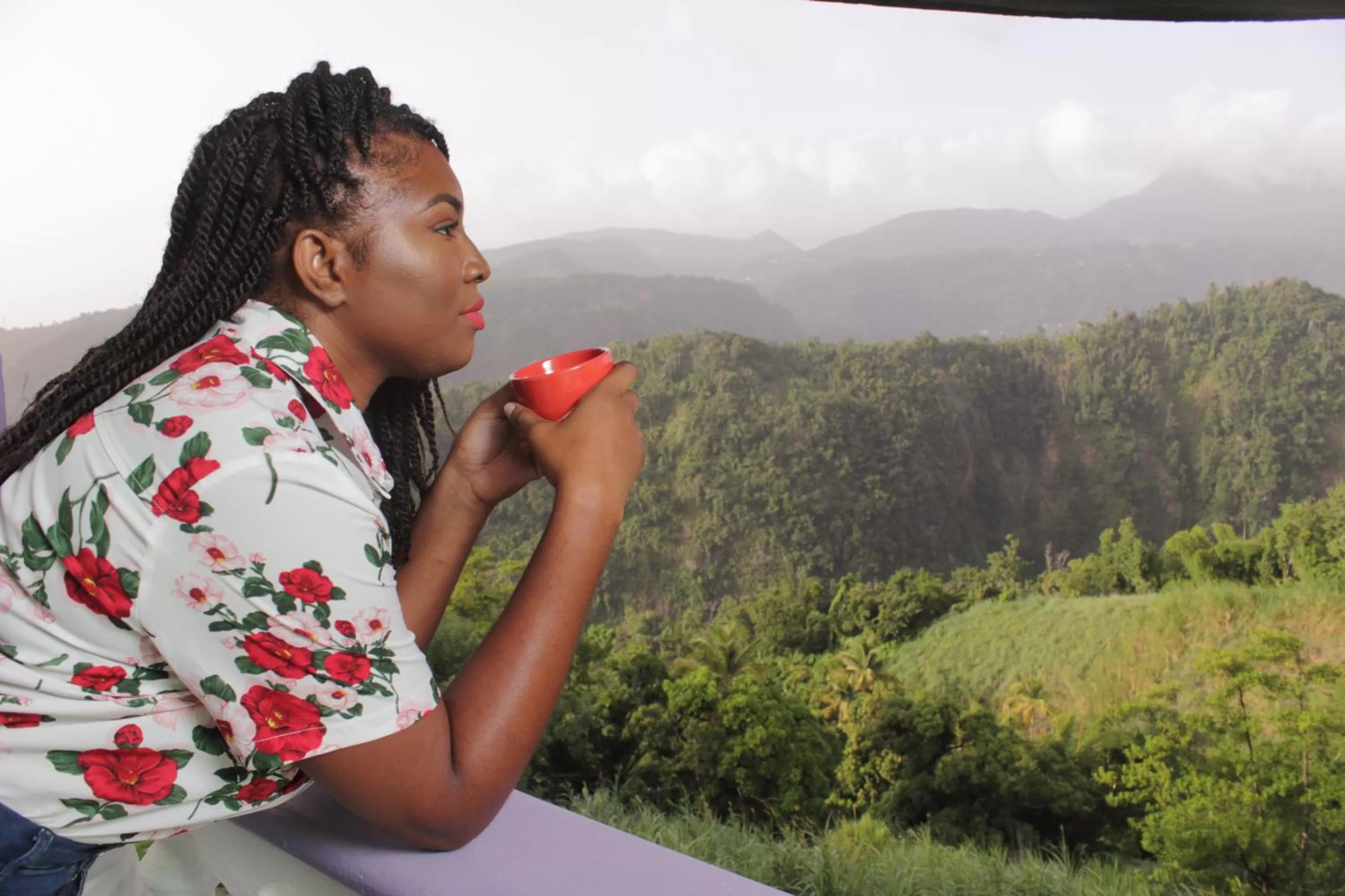 Guests in Matthew's Miracle View