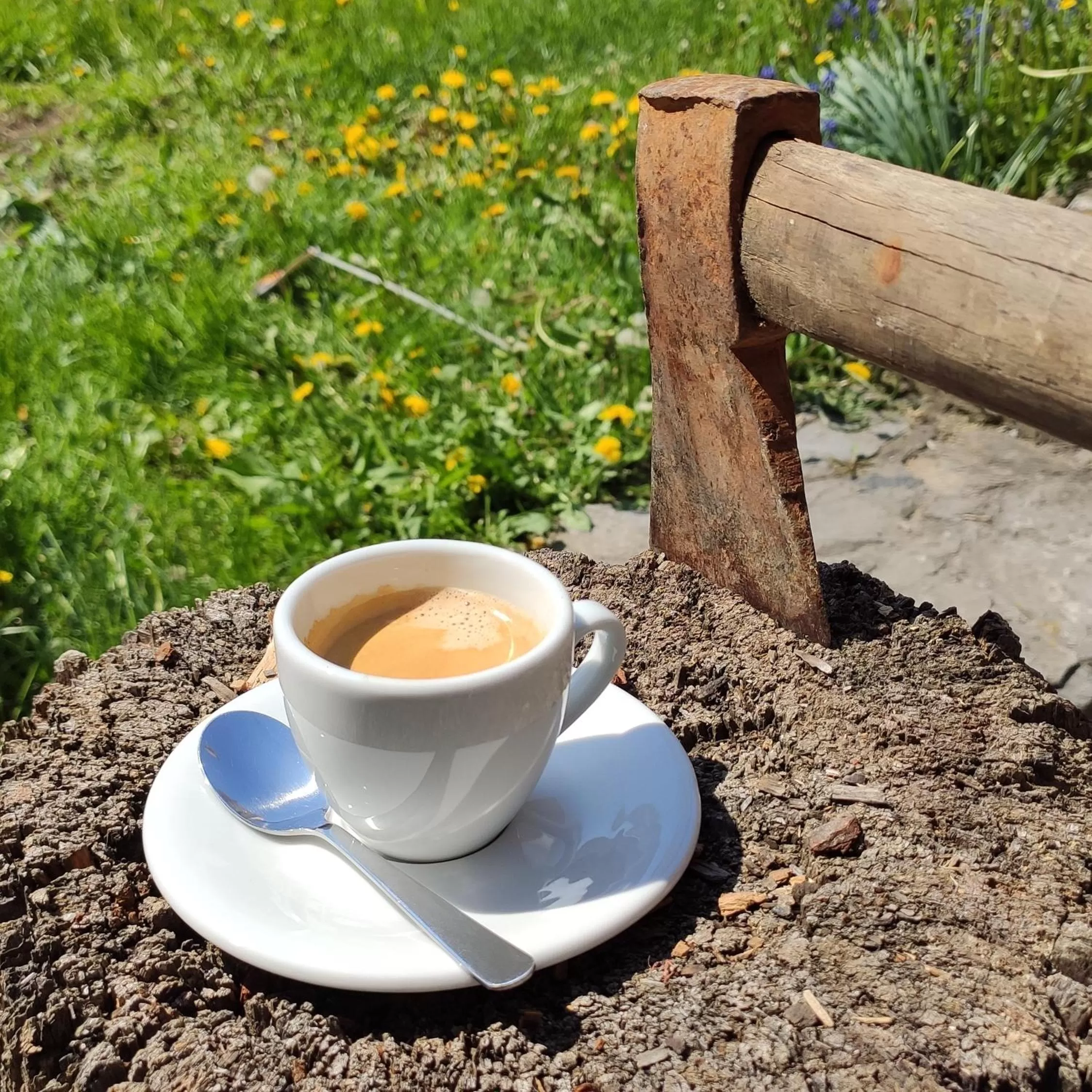 Food close-up in H@M Penzion