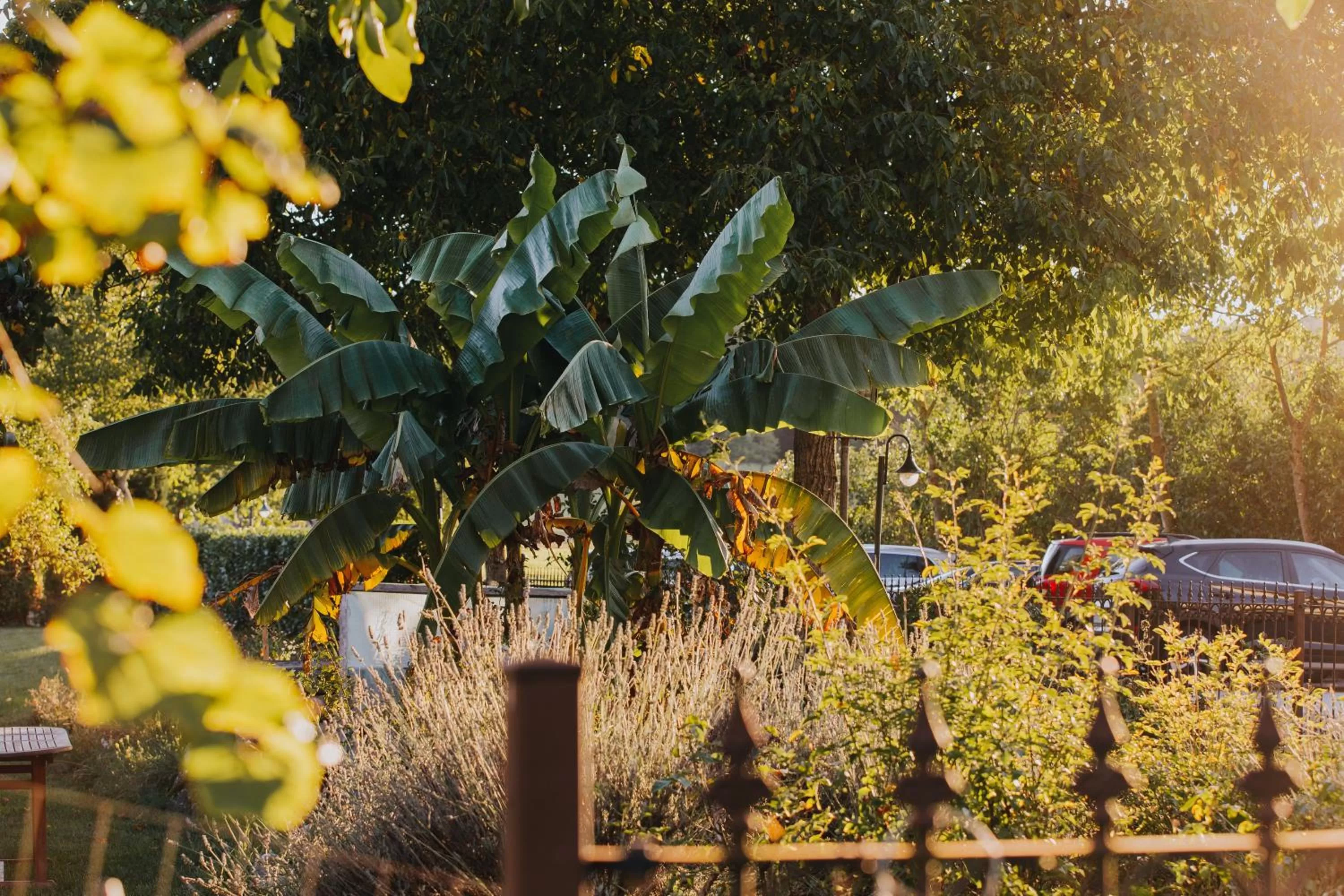 Garden in Hotel und Weingut Karlsmühle
