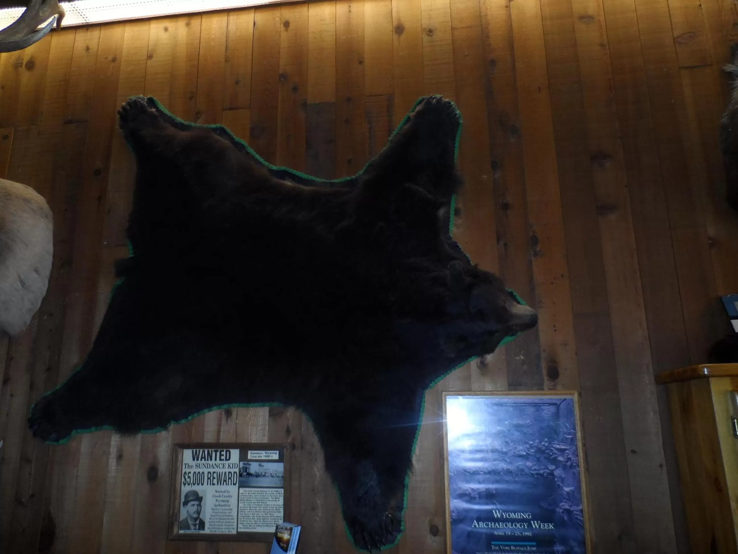 Lobby or reception in Bear Lodge Motel