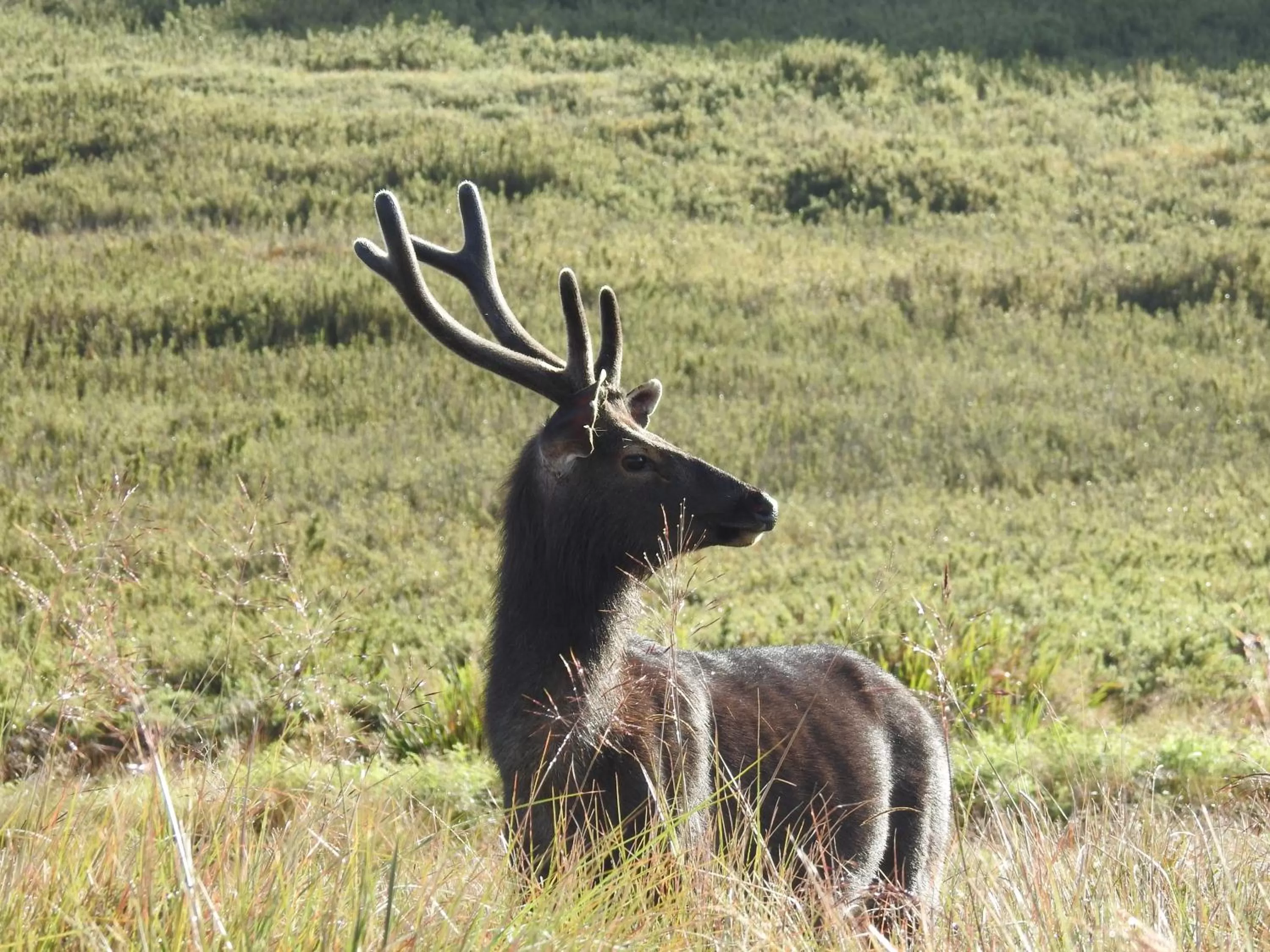Natural landscape in The Grand Hotel - Heritage Grand
