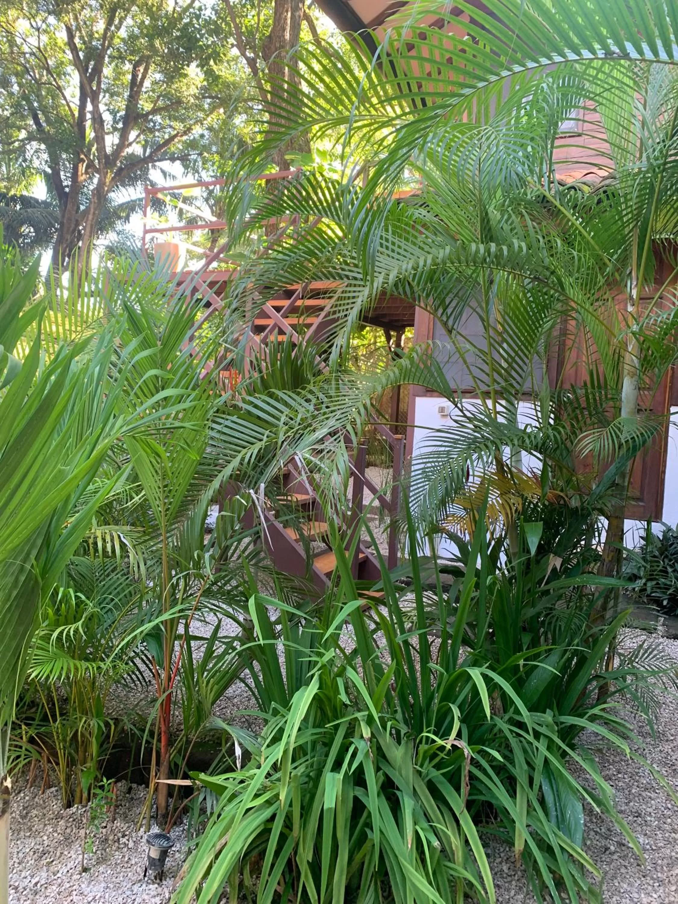 Garden in The Beach Bungalows - Yoga and Surf Hotel - Adults Only