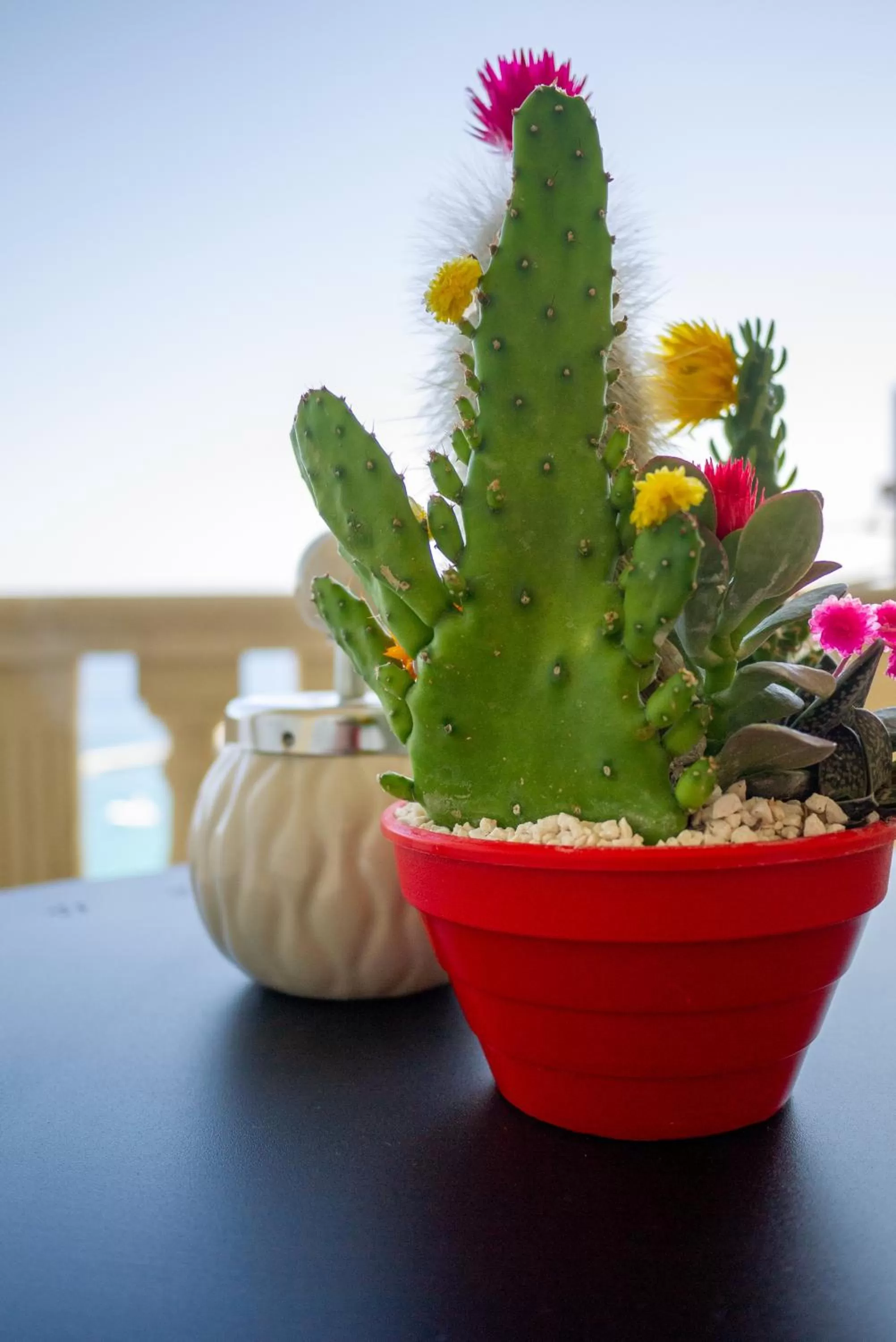 Other in B&B The Sun 'tis