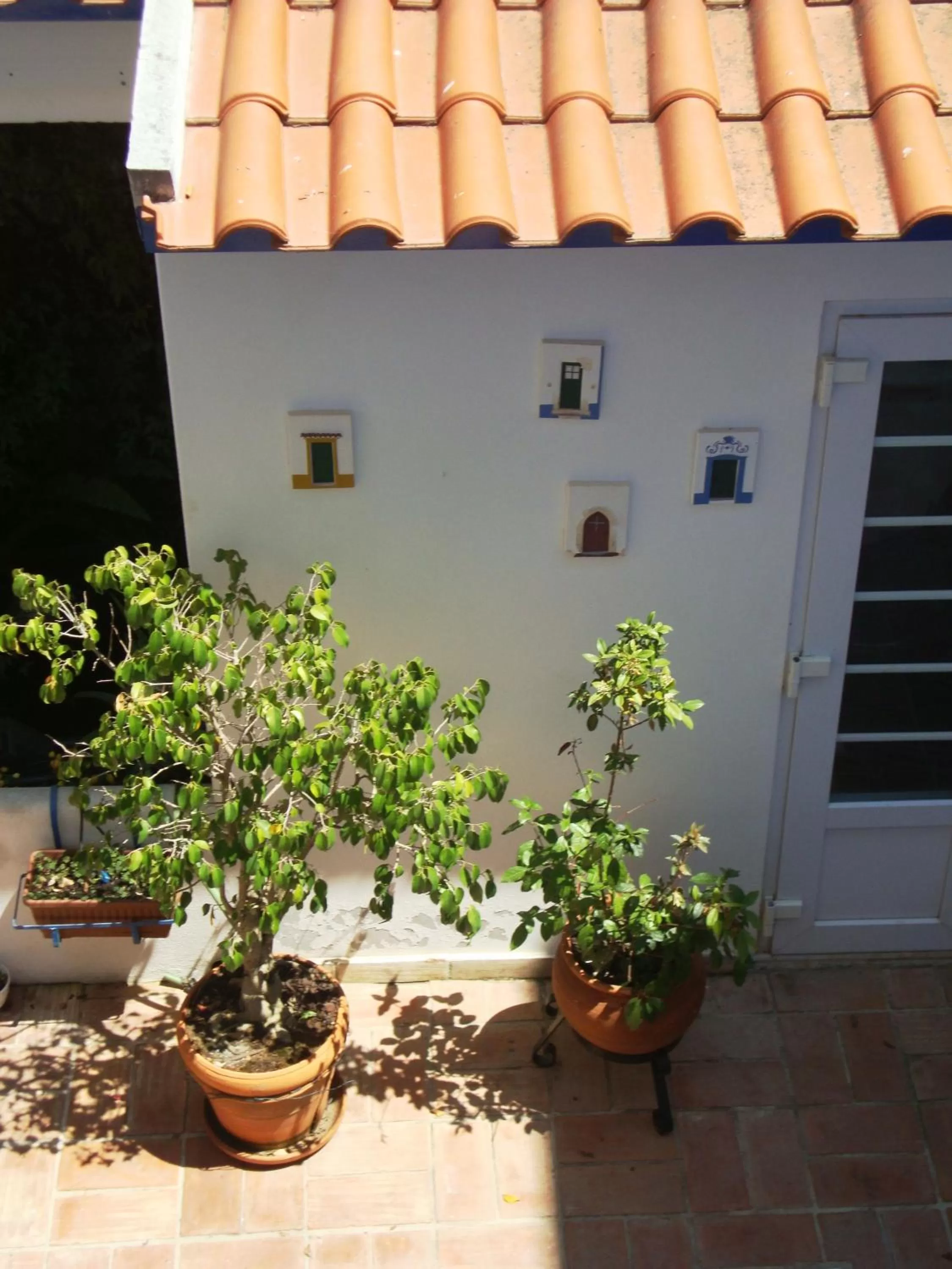 Garden in Hotel Mar e Sol VNMF by Umbral