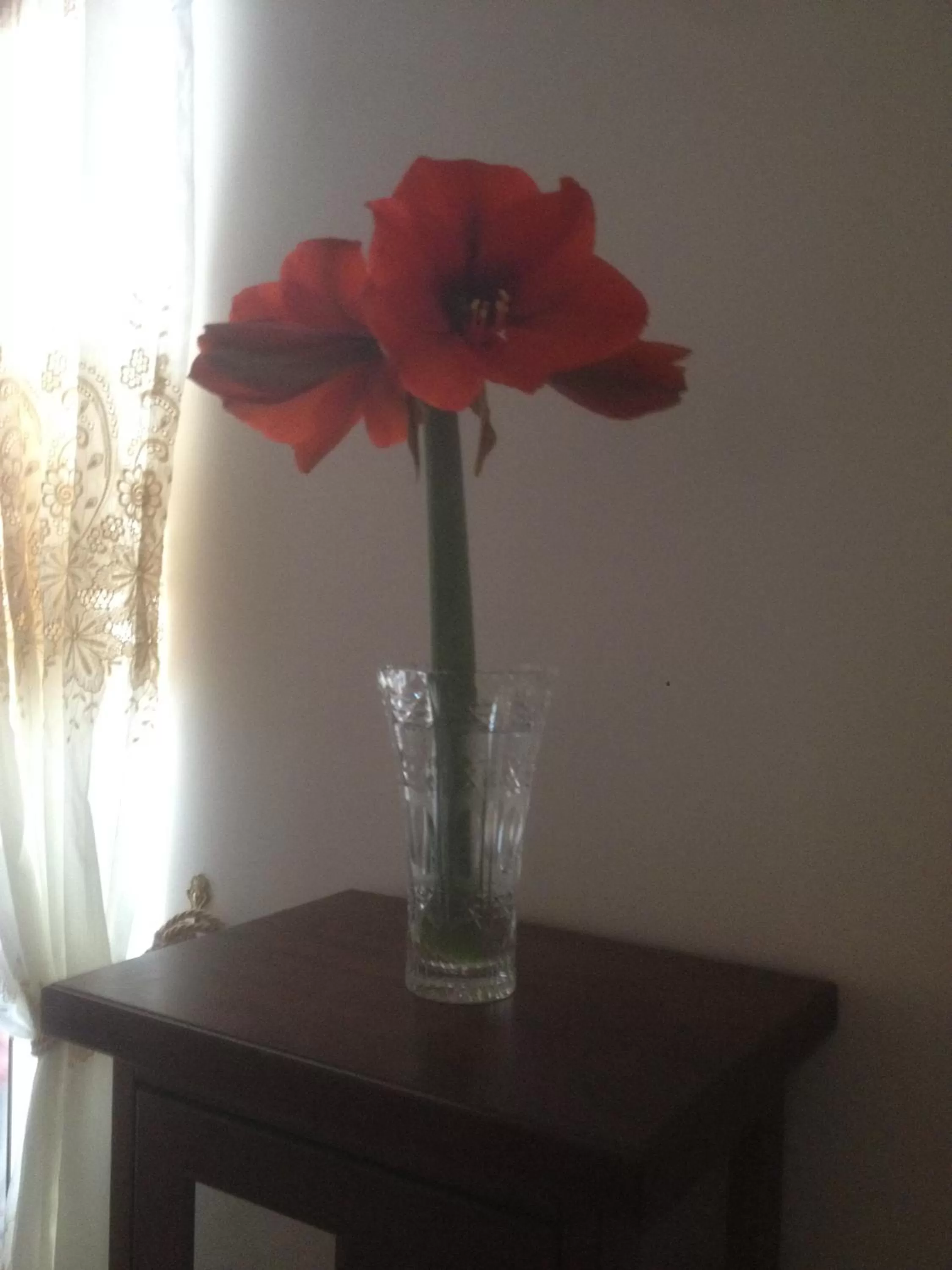 Living room in B&B BiNARIO39