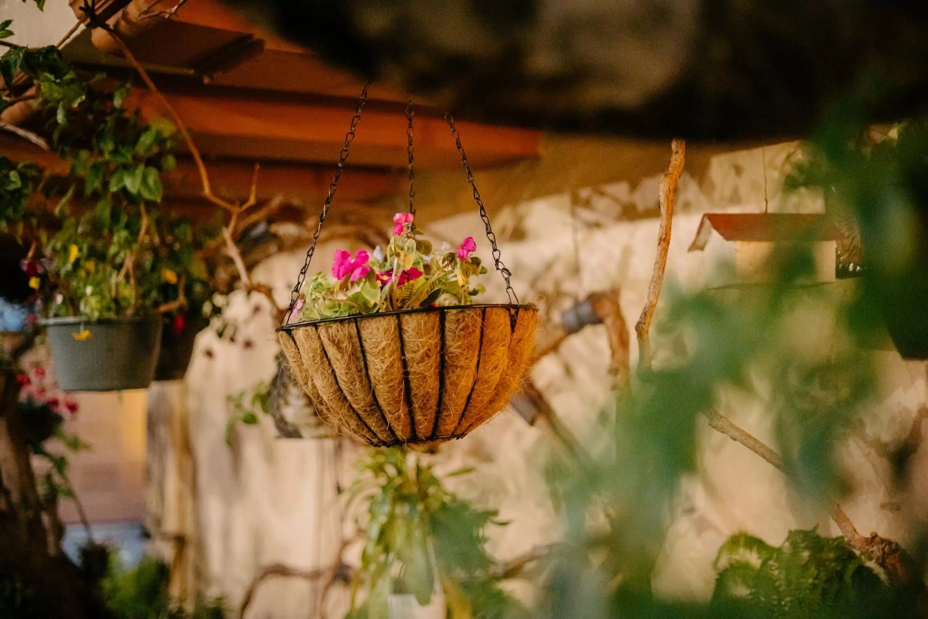 Garden in Marina Motel