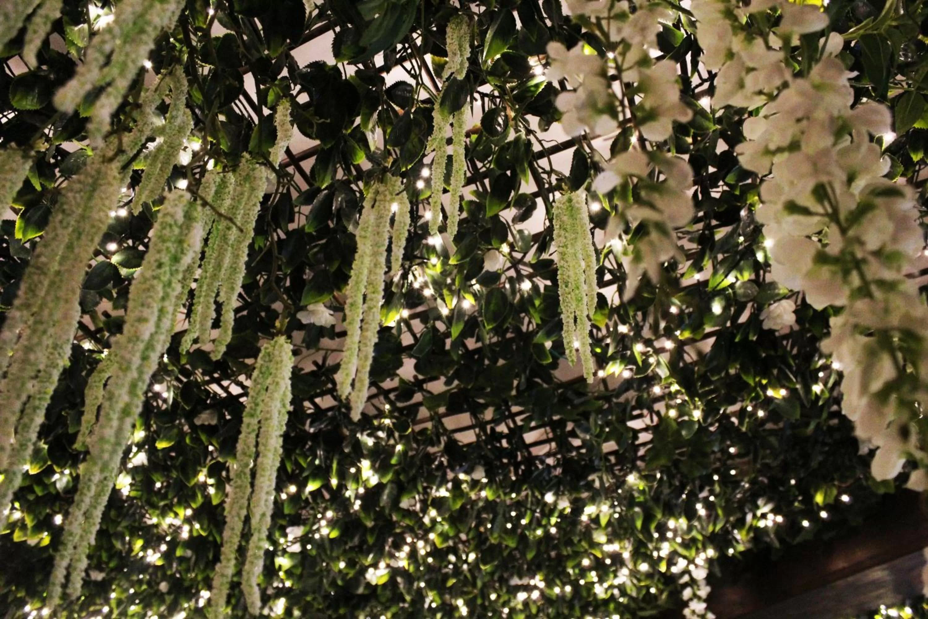 Dining area in The Lion Hotel