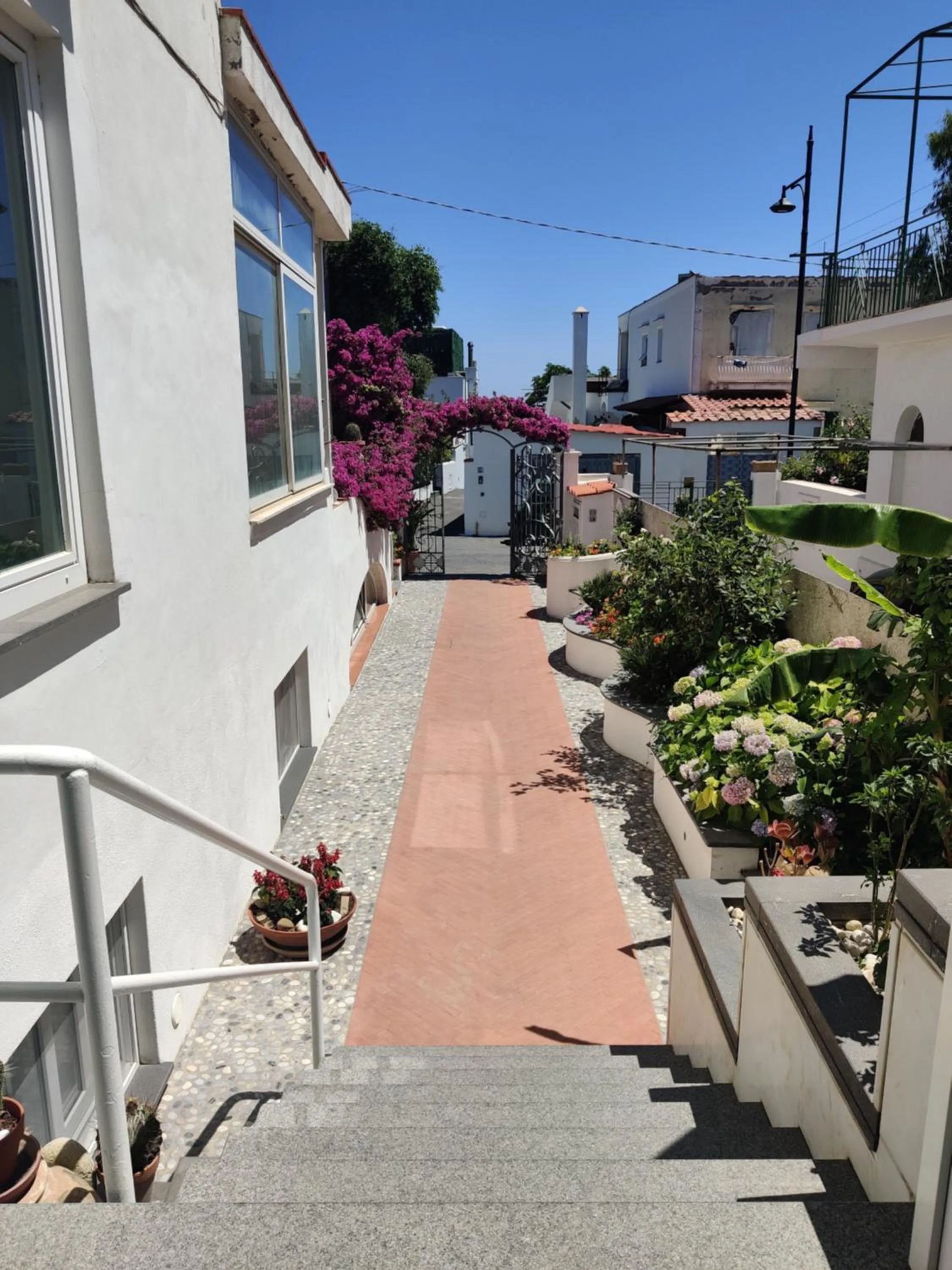 Facade/entrance in Hotel Villa Cecilia
