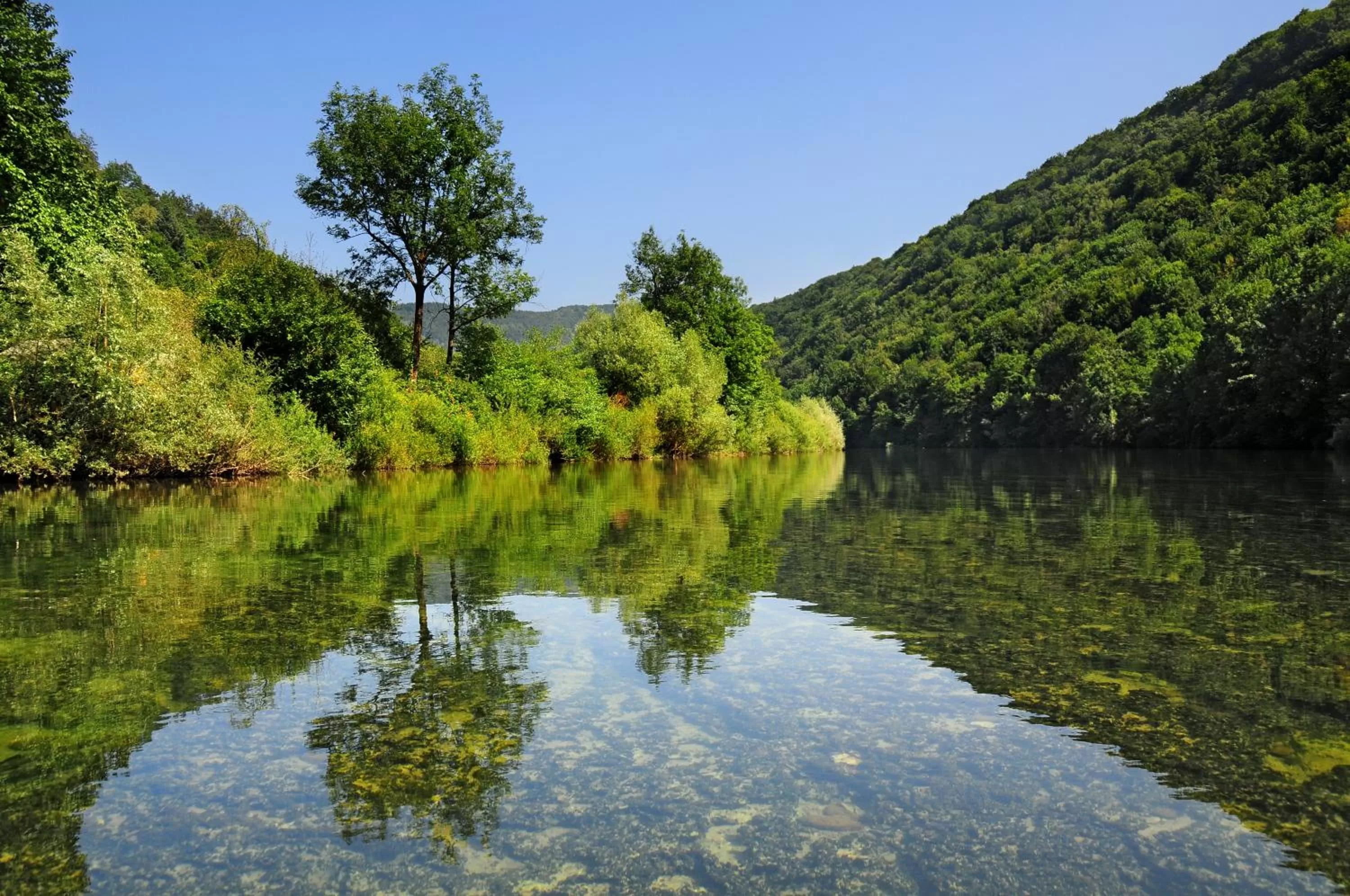 Natural Landscape in Hotel Bela Krajina