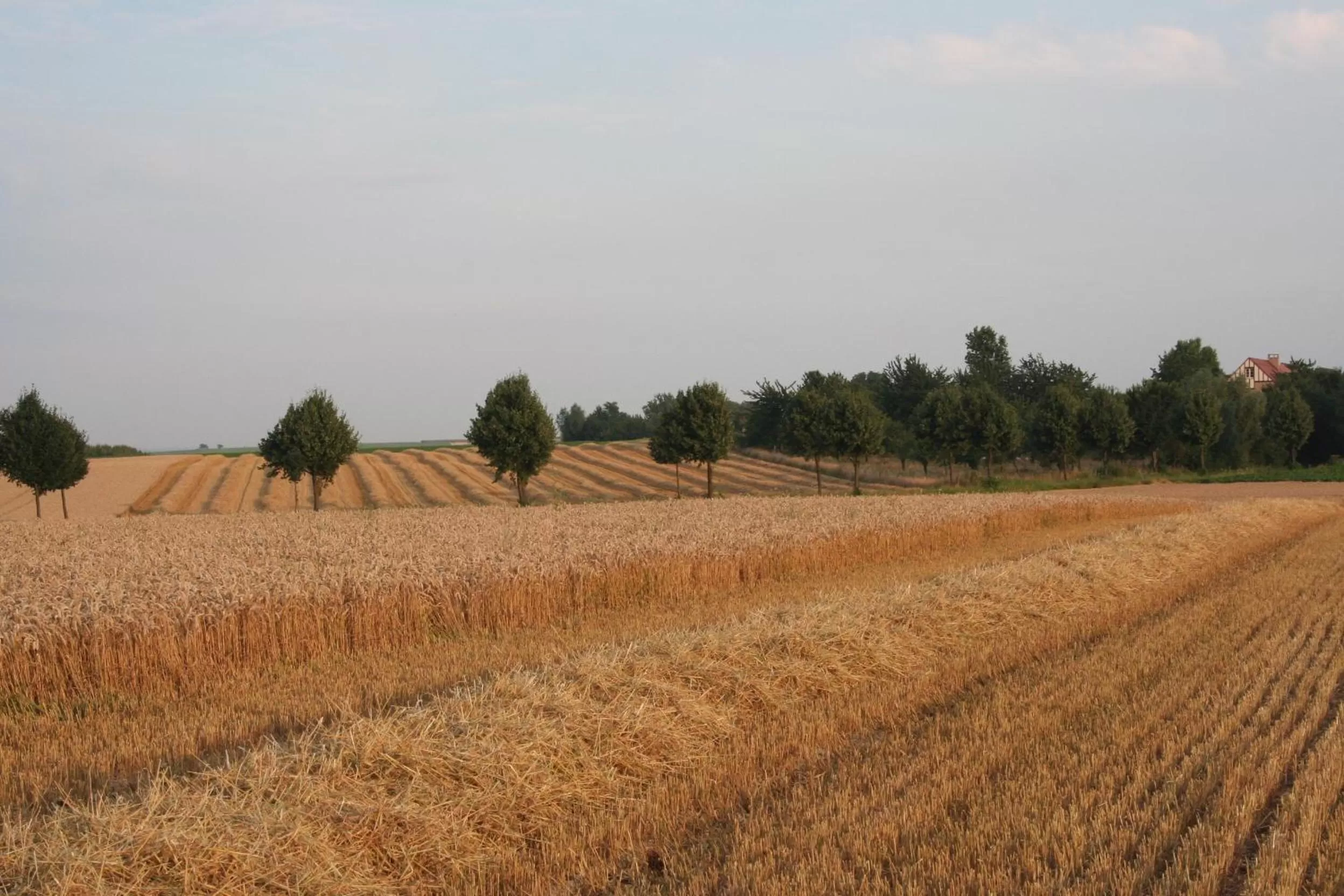 Nearby landmark in twee broeders