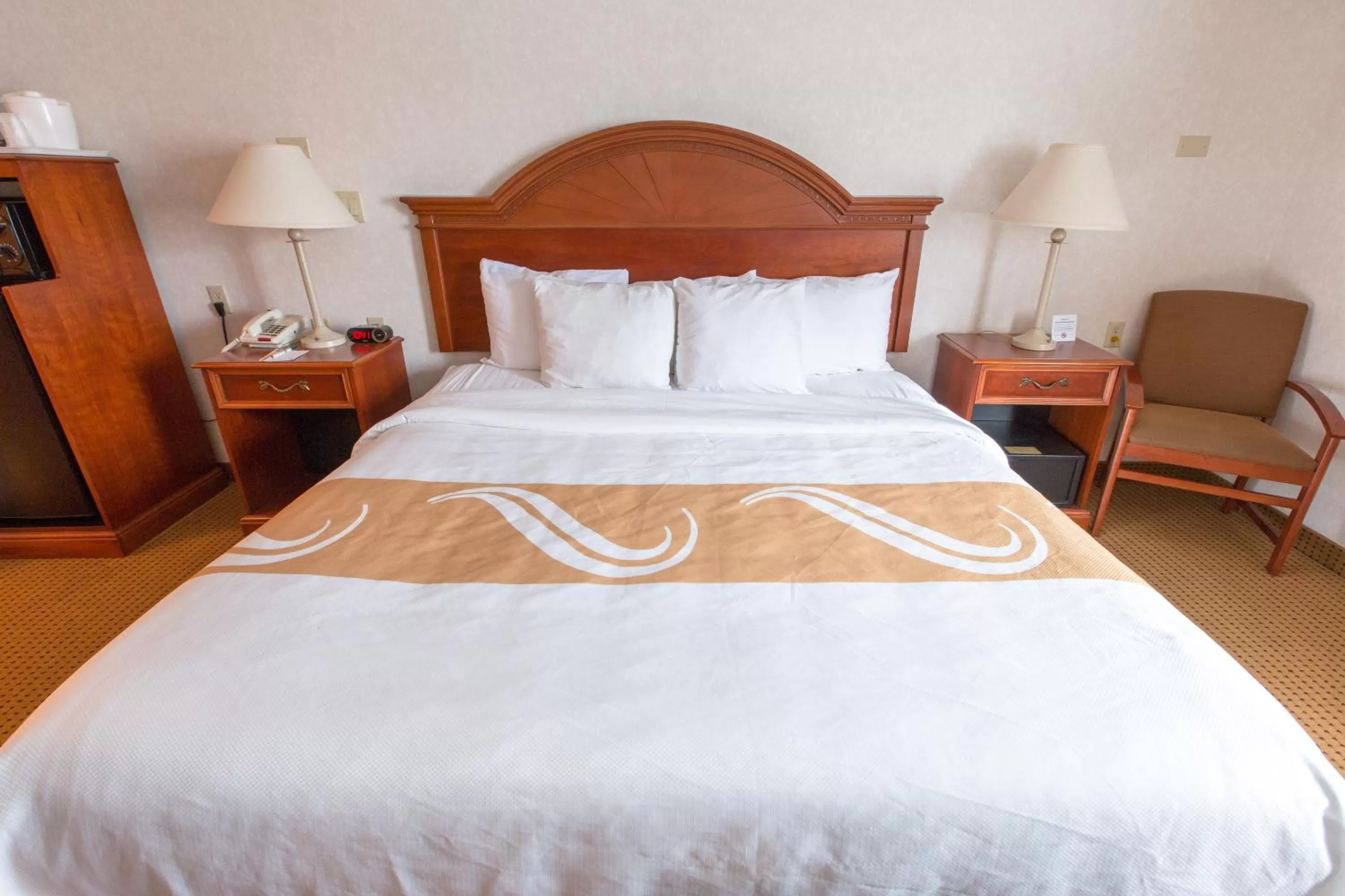 Bed in Quality Inn & Suites University