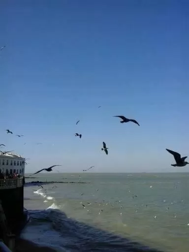 Sea view in Hotel La Española