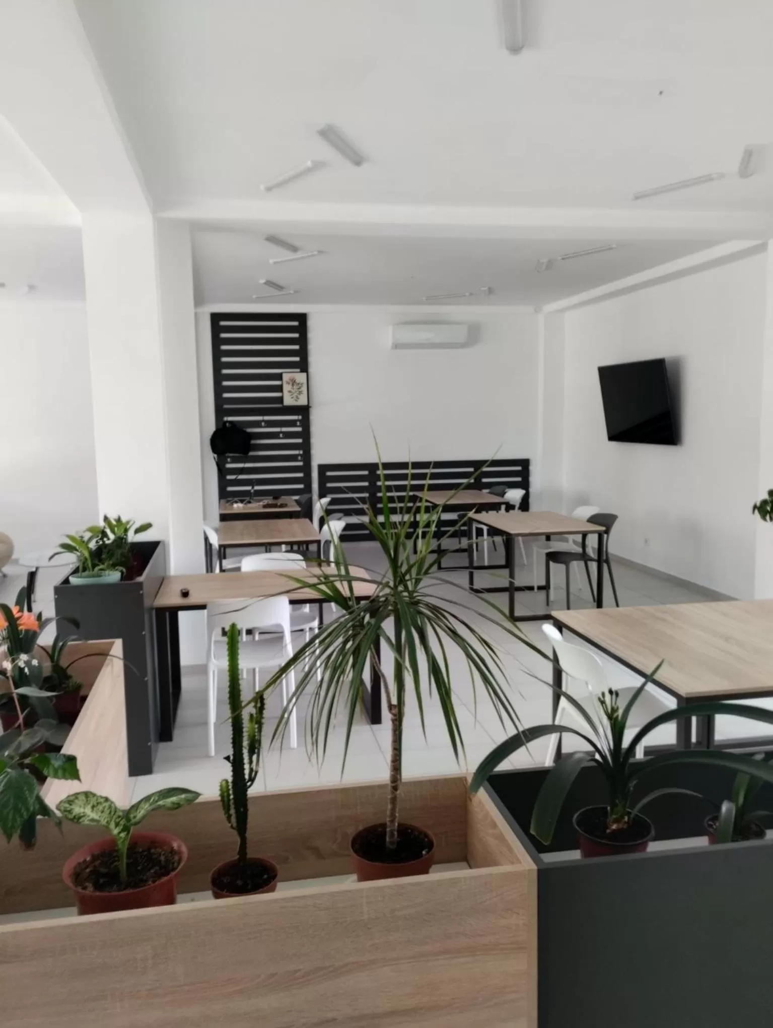 Communal lounge/ TV room in PARK-hotel