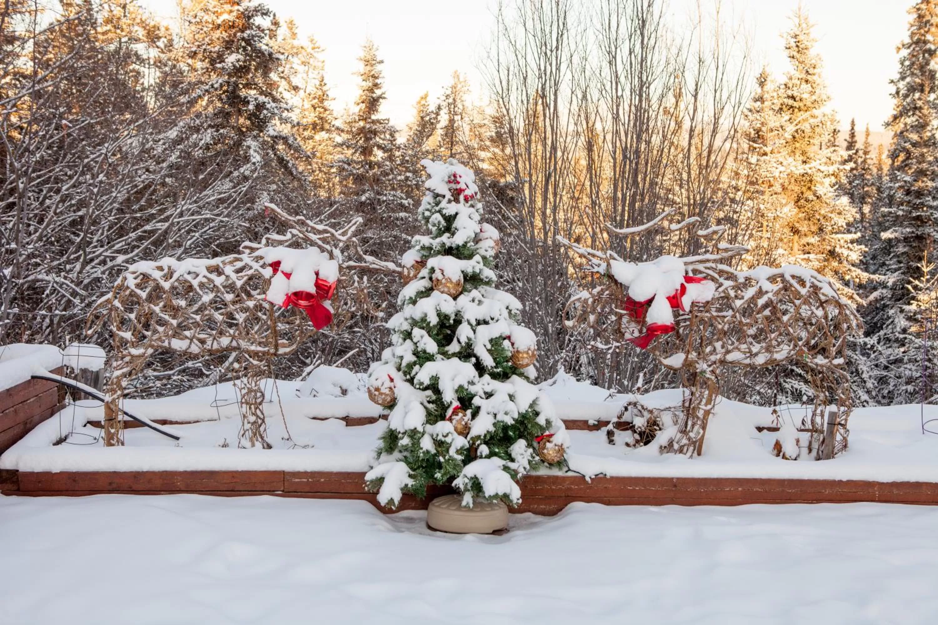 Balcony/Terrace in Hidden Valley Bed and Breakfast
