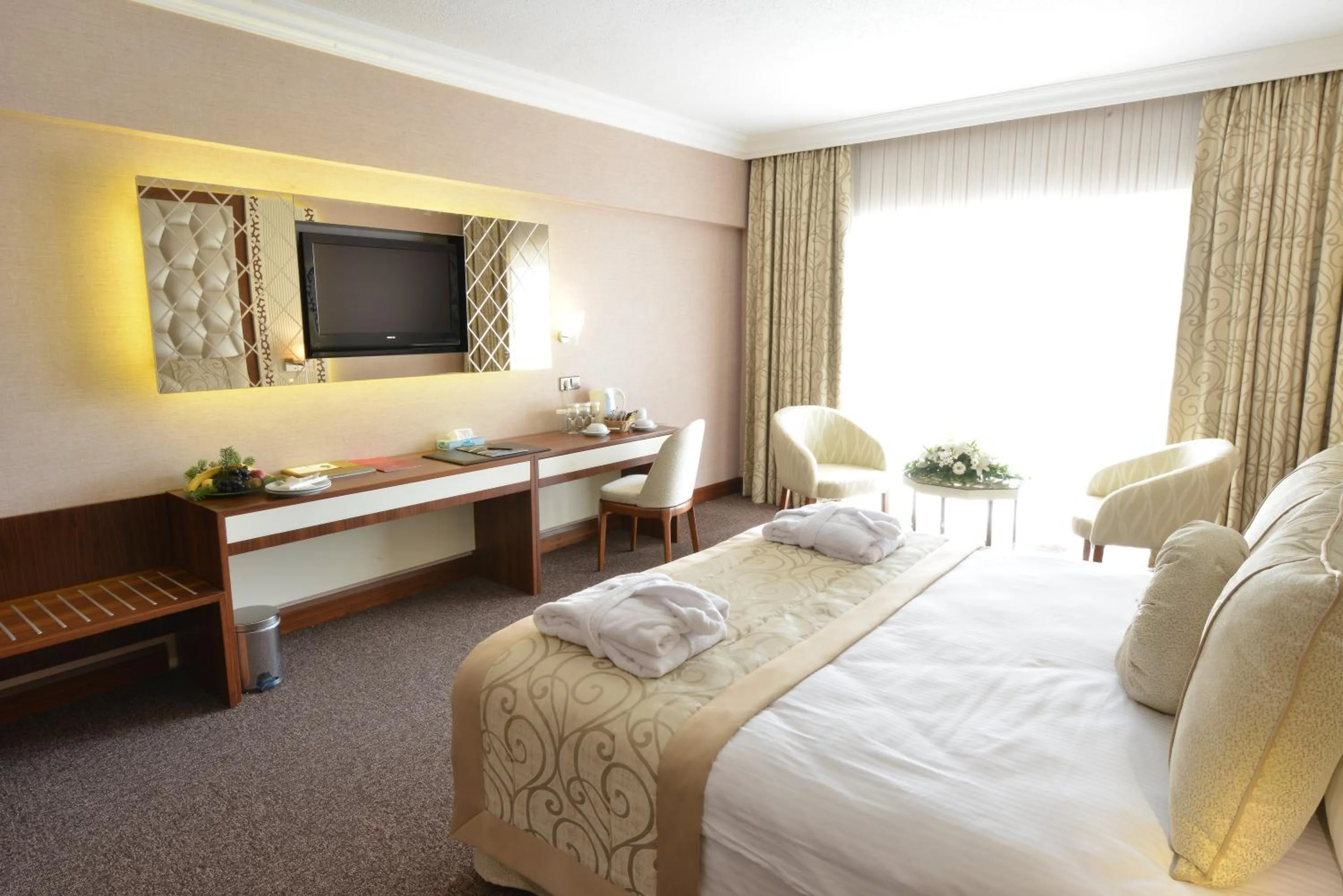 Double or Twin Room in Anadolu Hotels Esenboga Thermal