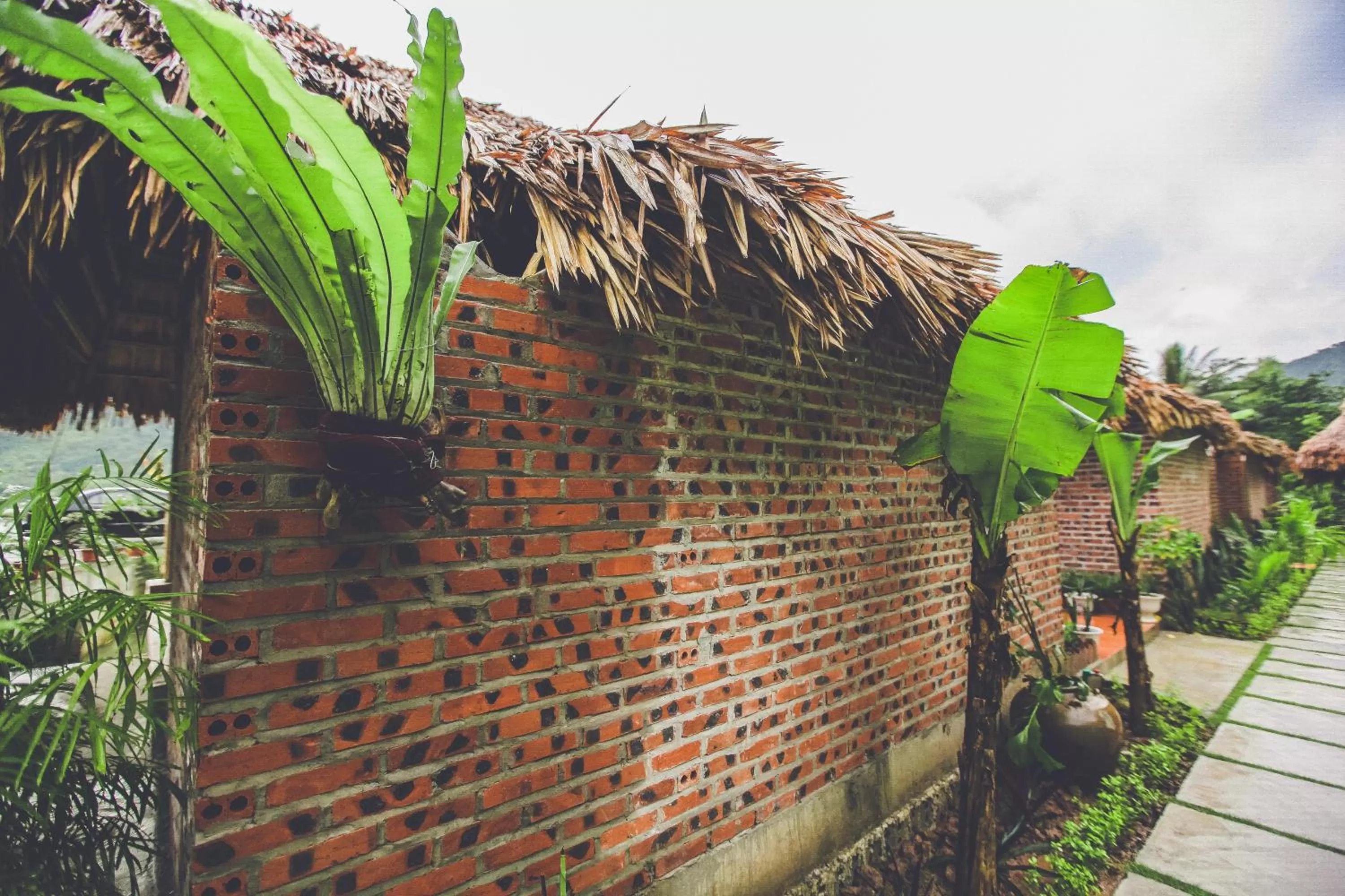 Day in Tam Coc Rice Fields Resort