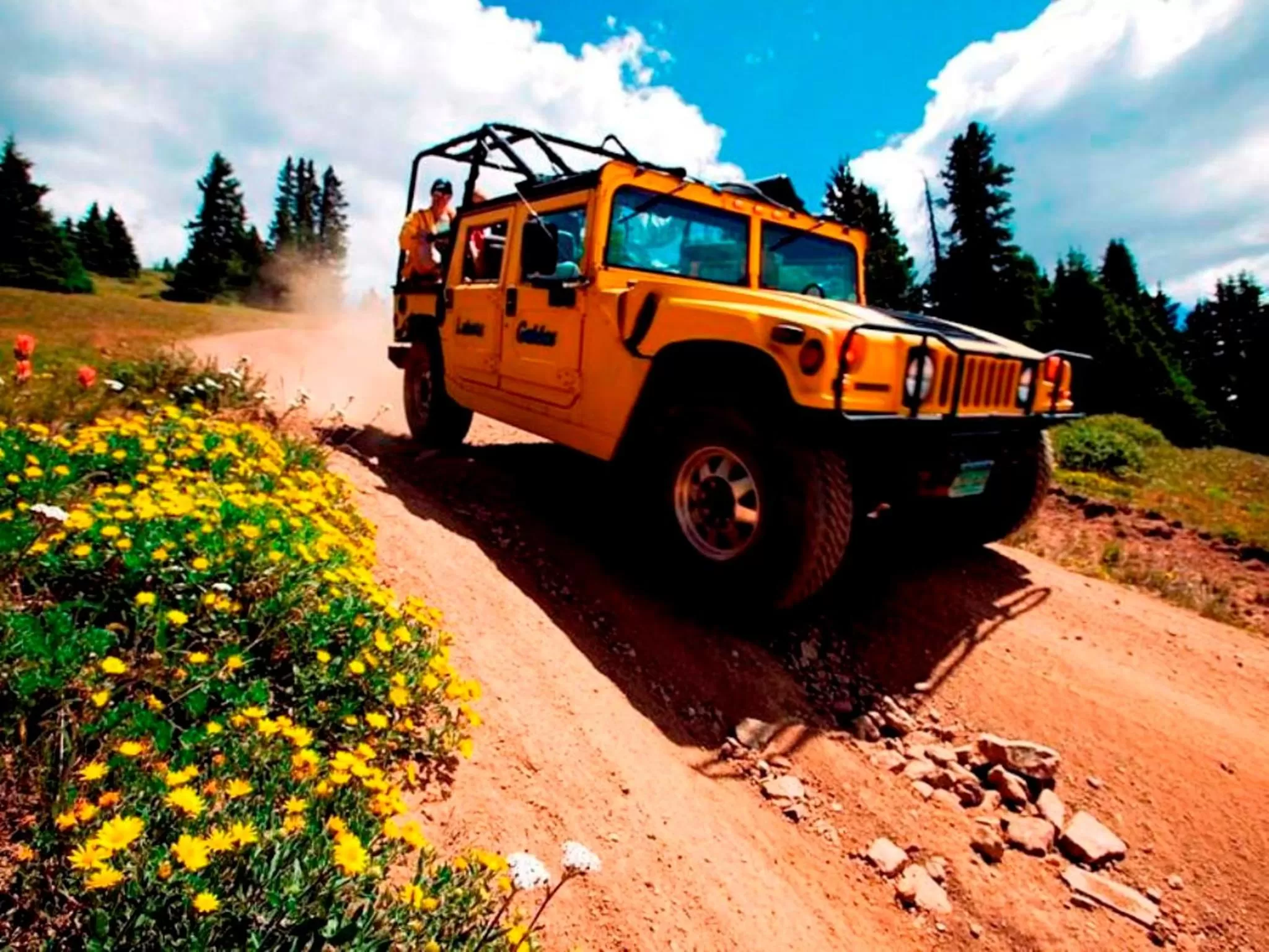 Summer in Mountain Thunder Lodge, A Vail Resorts Property