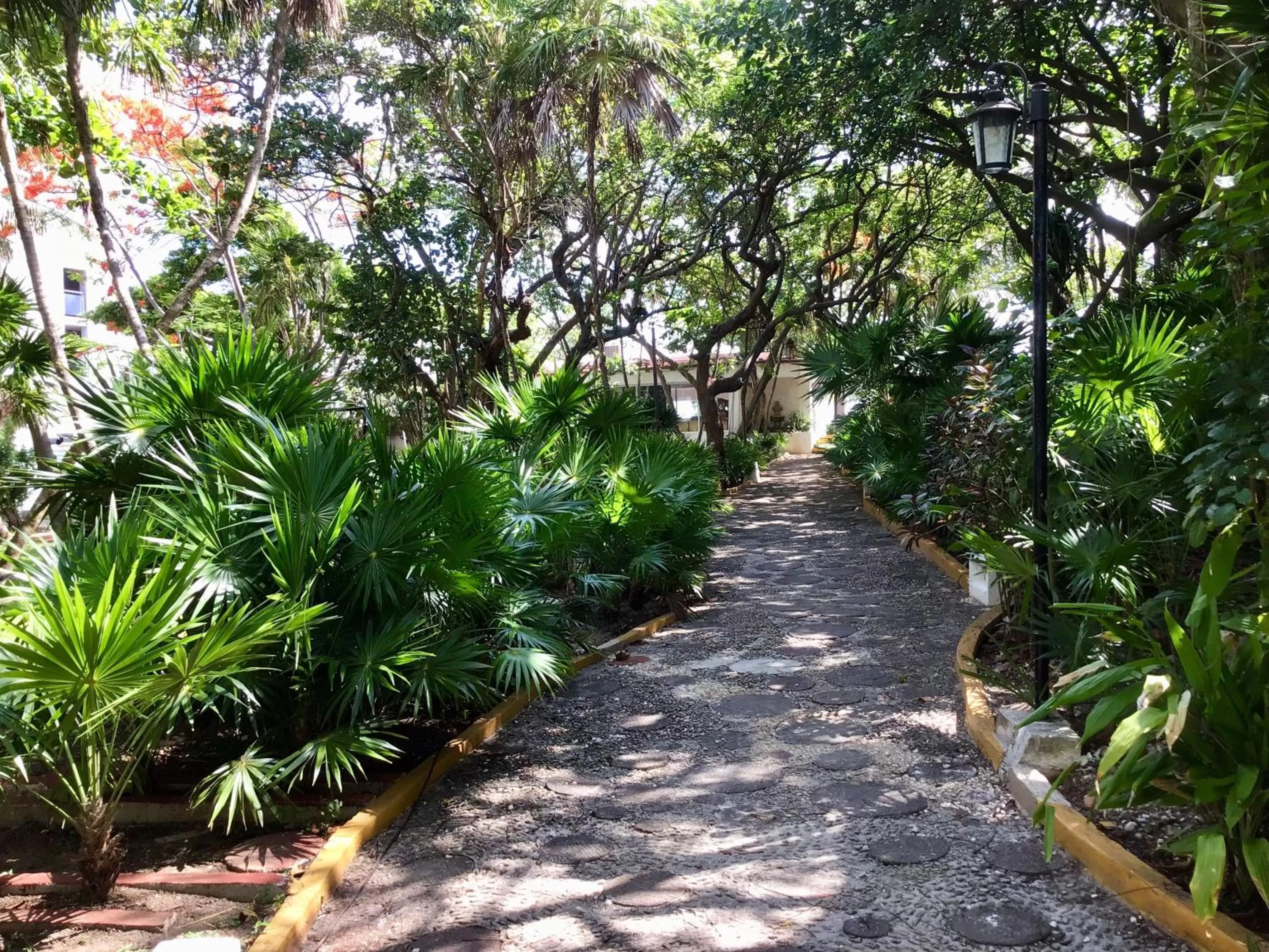 Natural landscape in Hotel Maya Caribe Faranda Cancún