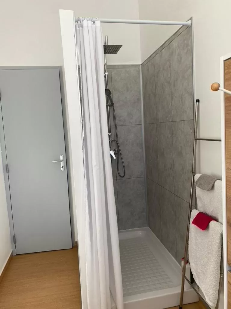 Shower, Bed in Demeure des Dentelles avec PARKING GRATUIT