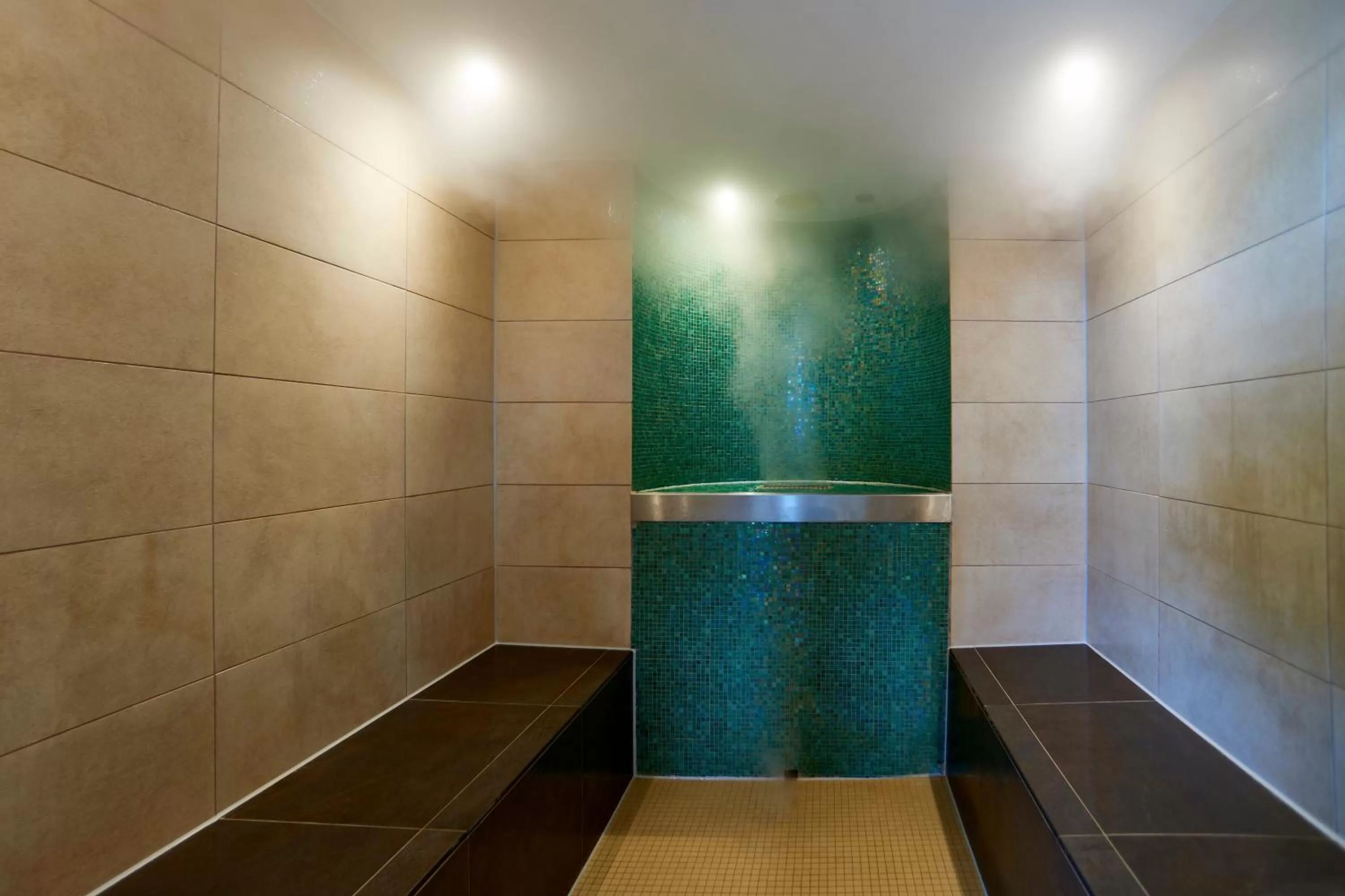 Steam room in Holiday Inn Berlin Airport - Conference Centre by IHG