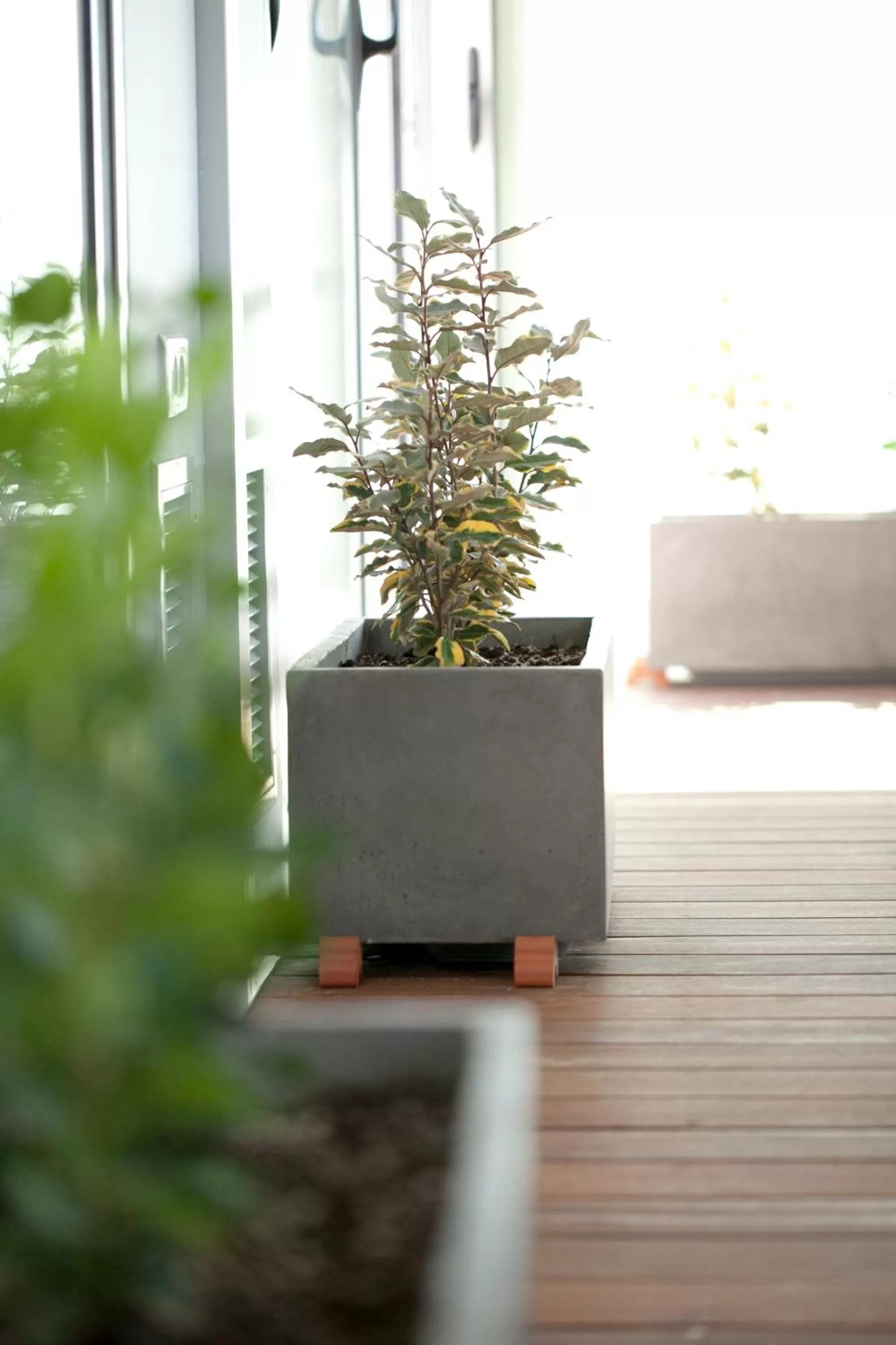 Seating area in Athens Cypria Hotel