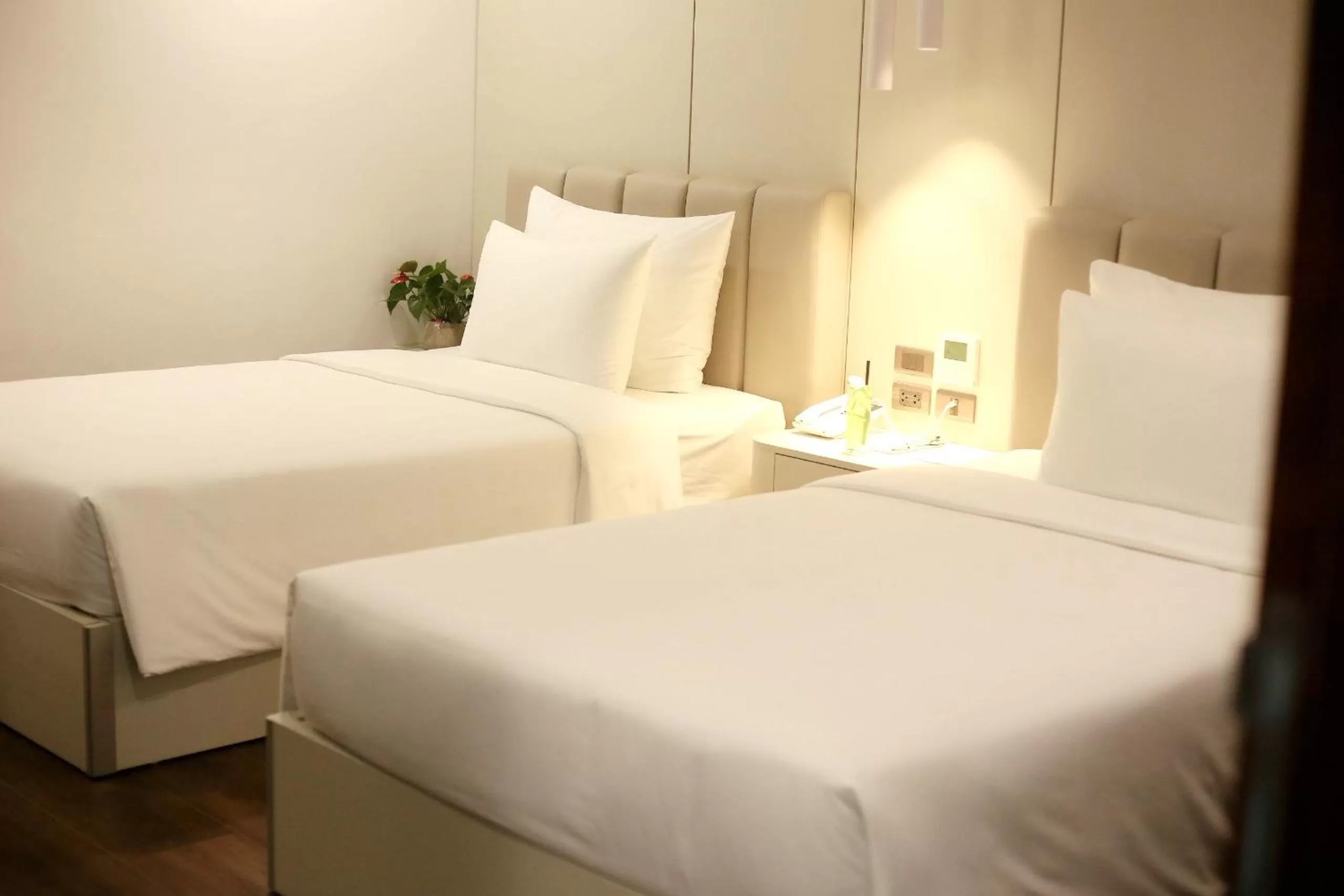 Standard Twin Room in Danitel Halong