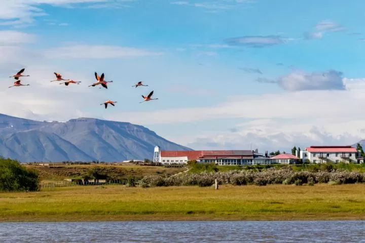 Hostería El Galpón Del Glaciar