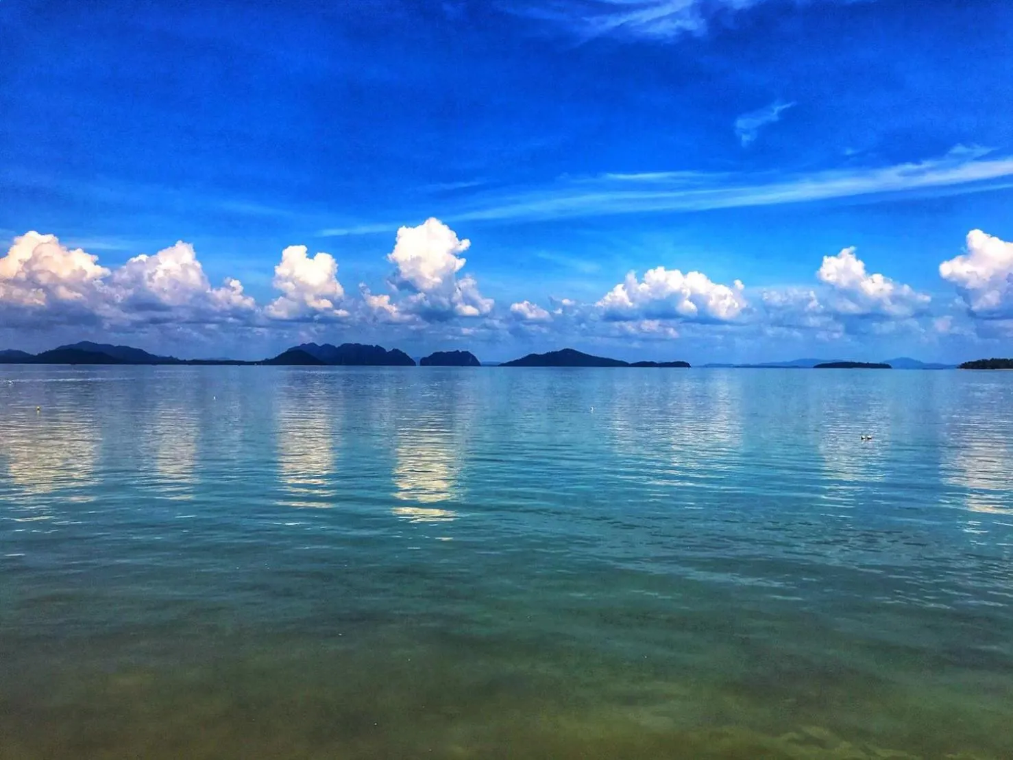 Natural landscape in Mangrove House Lanta Old Town