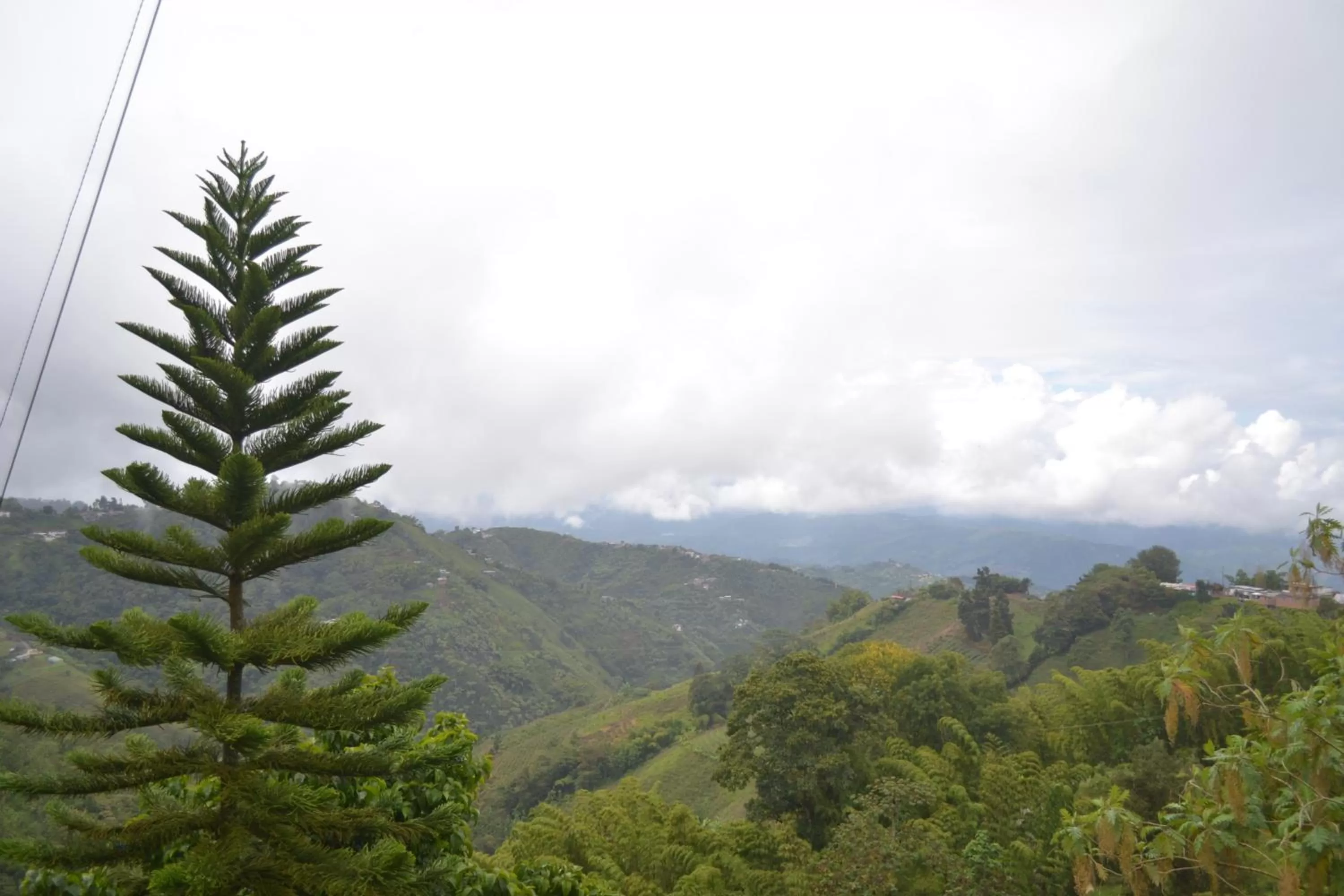Natural landscape, Mountain View in Eco Lodge La Juanita