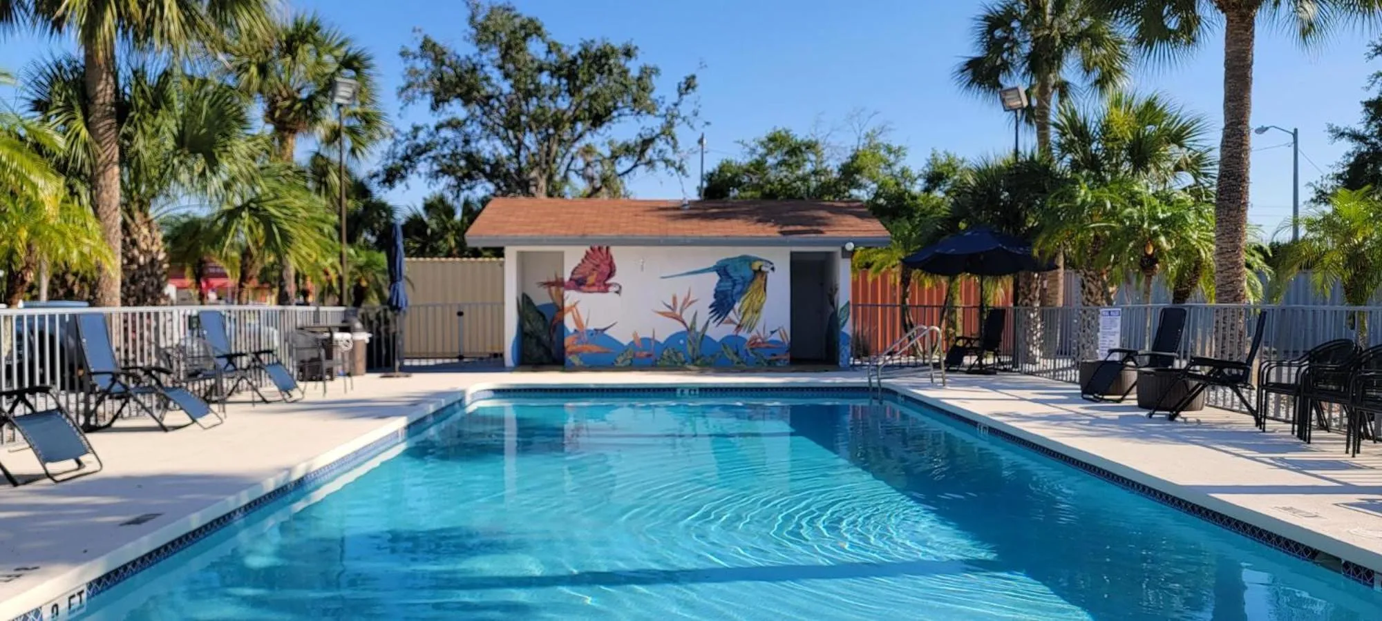 Swimming Pool in Vivo Living Kissimmee West