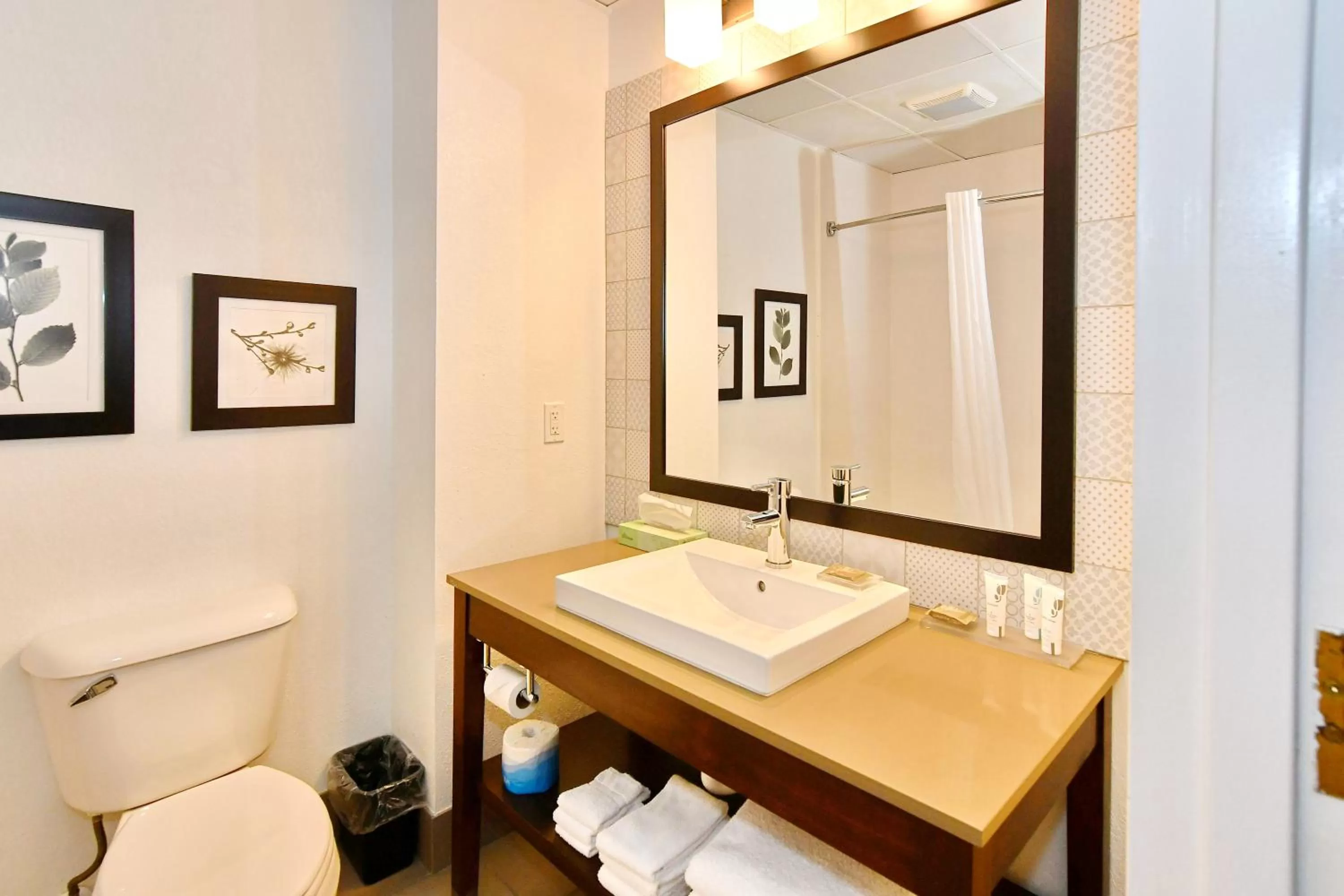 Bathroom in Country Inn & Suites by Radisson, Mount Morris, NY