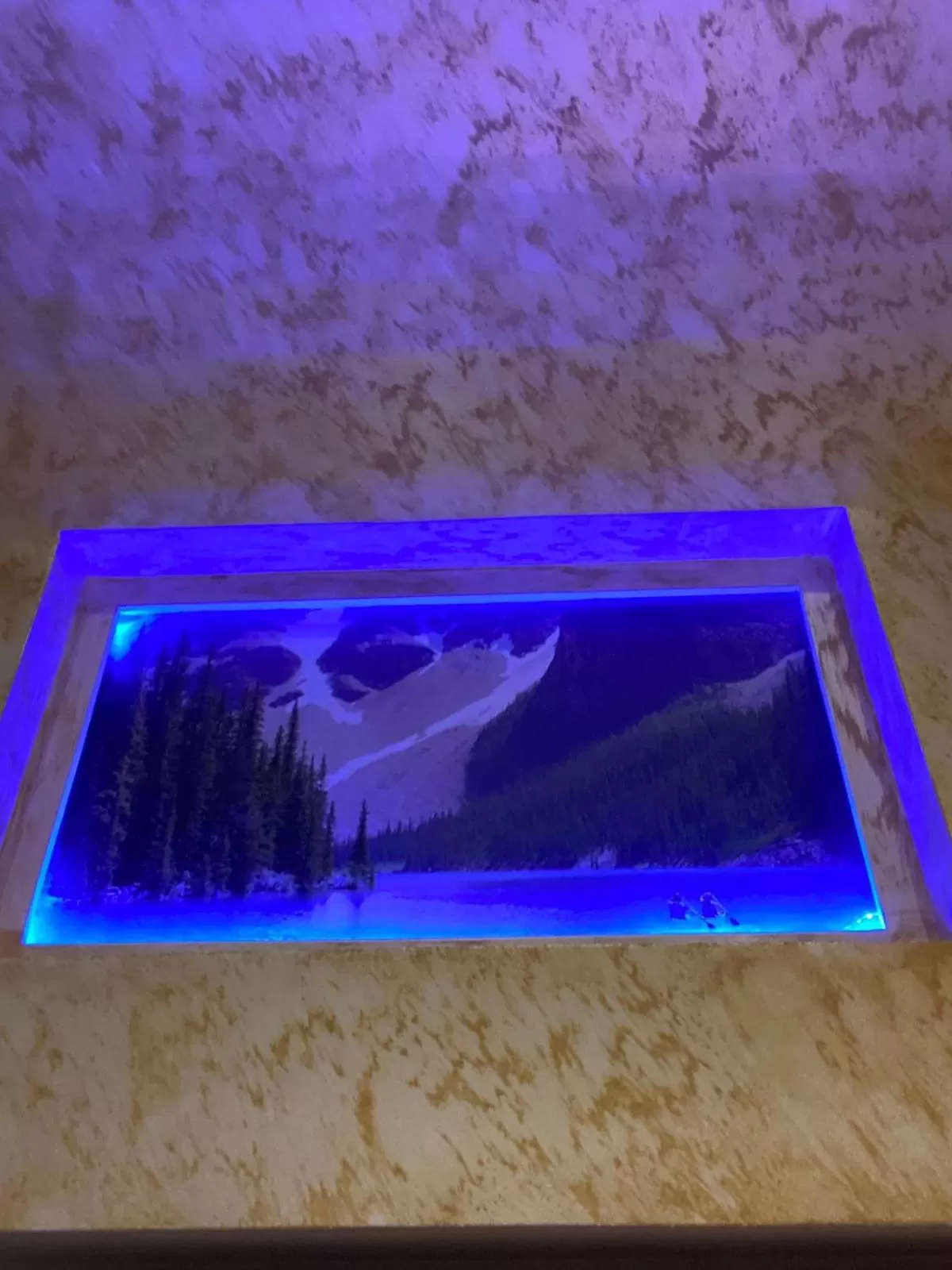 Solarium, Swimming Pool in Hotel Ago