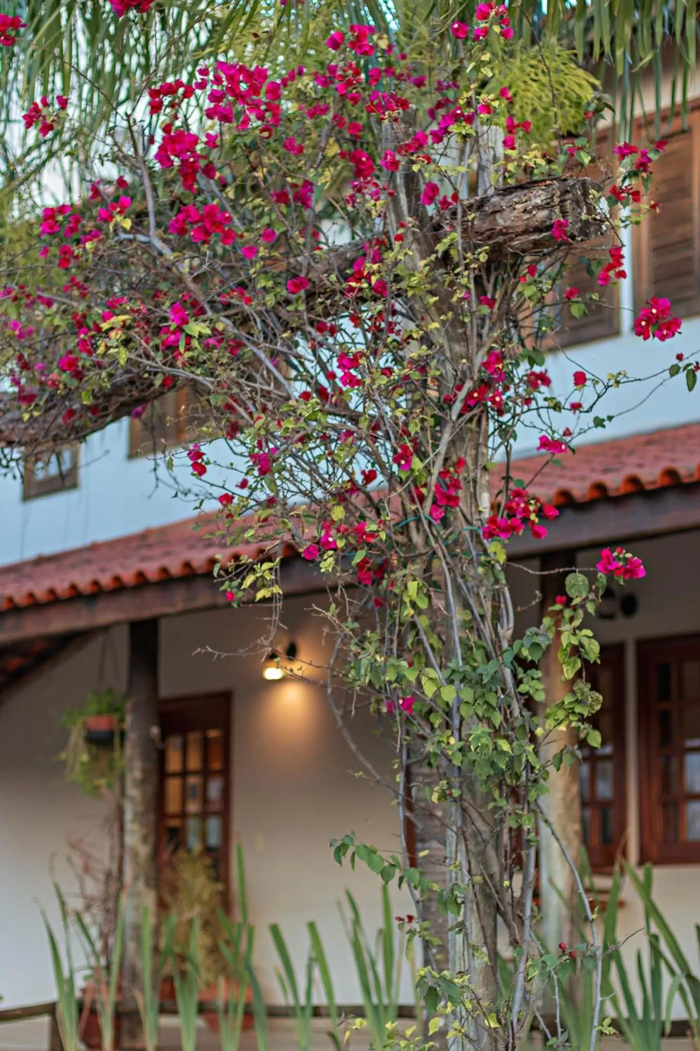 Facade/entrance in Pousada Pé na Terra