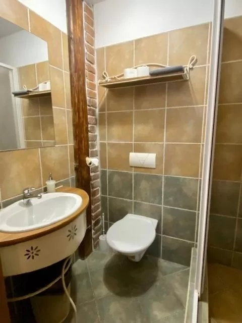 Bathroom in Hotel and restaurant Via Ironia