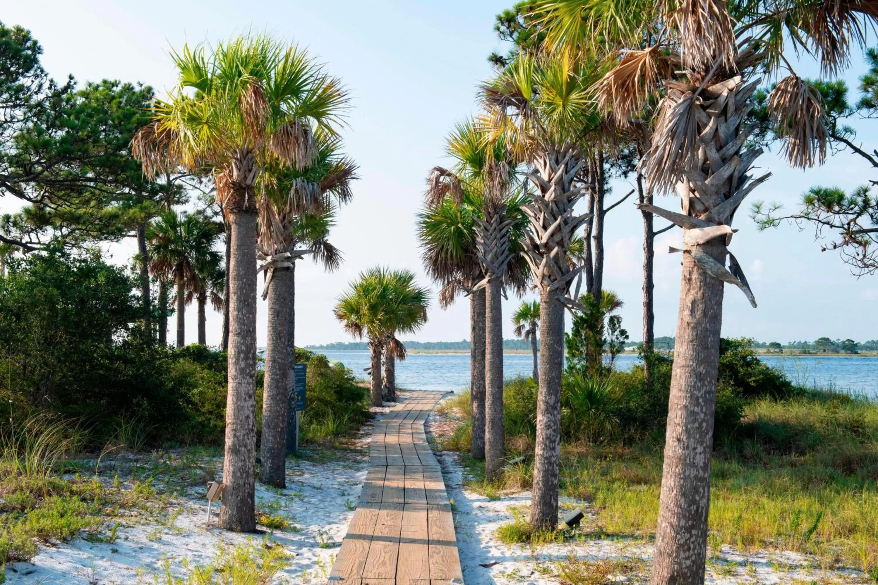Beach in Hilton Vacation Club Bayside Resort Panama City Beach