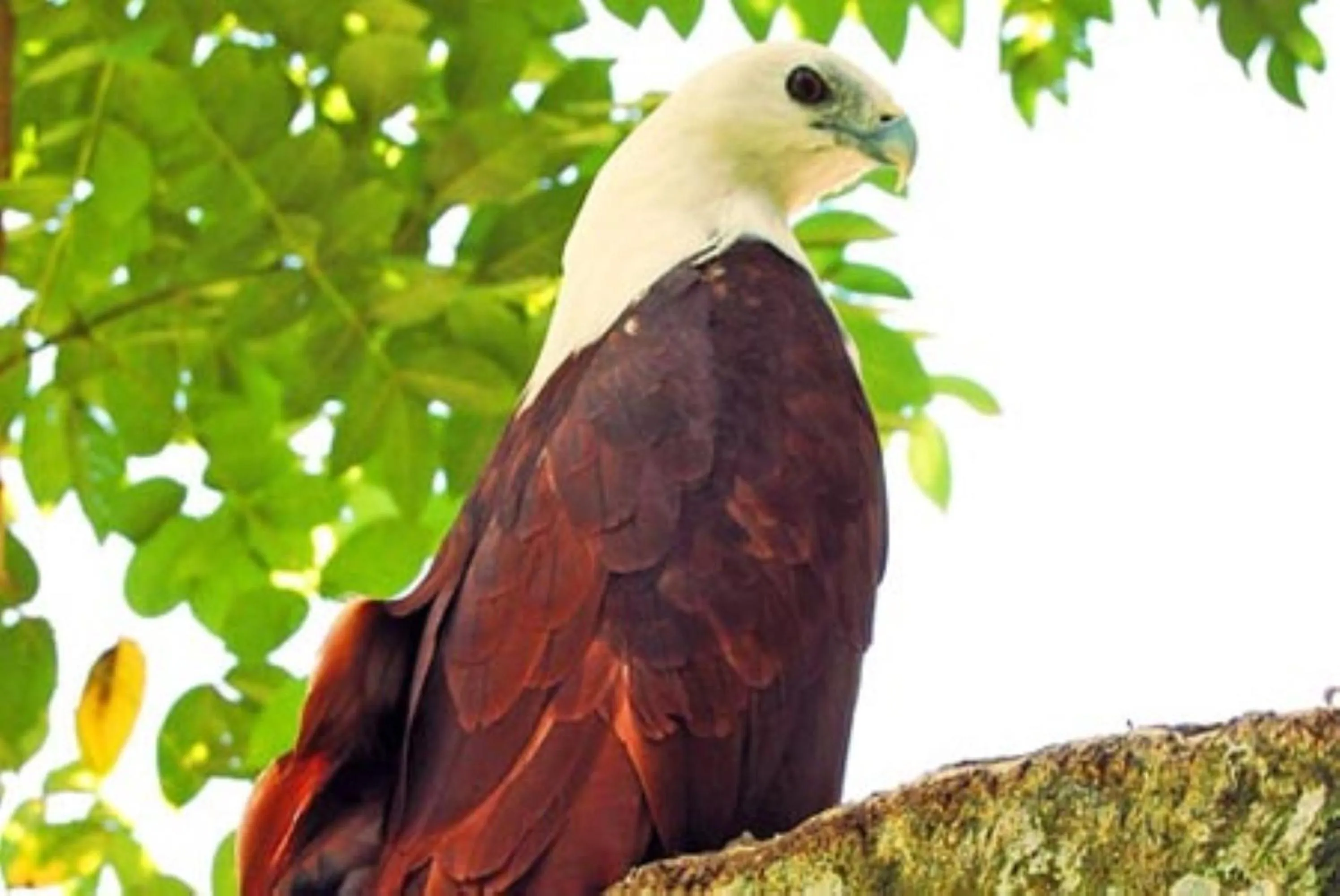 Area and facilities in GV Hotel - Davao