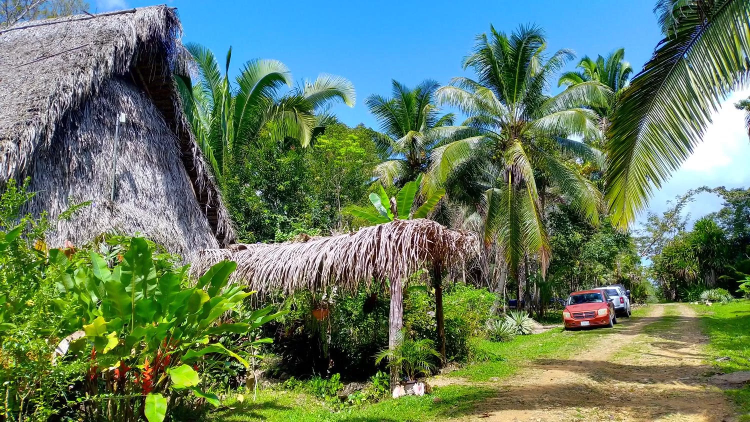 Property building, Garden in Sun Creek Lodge