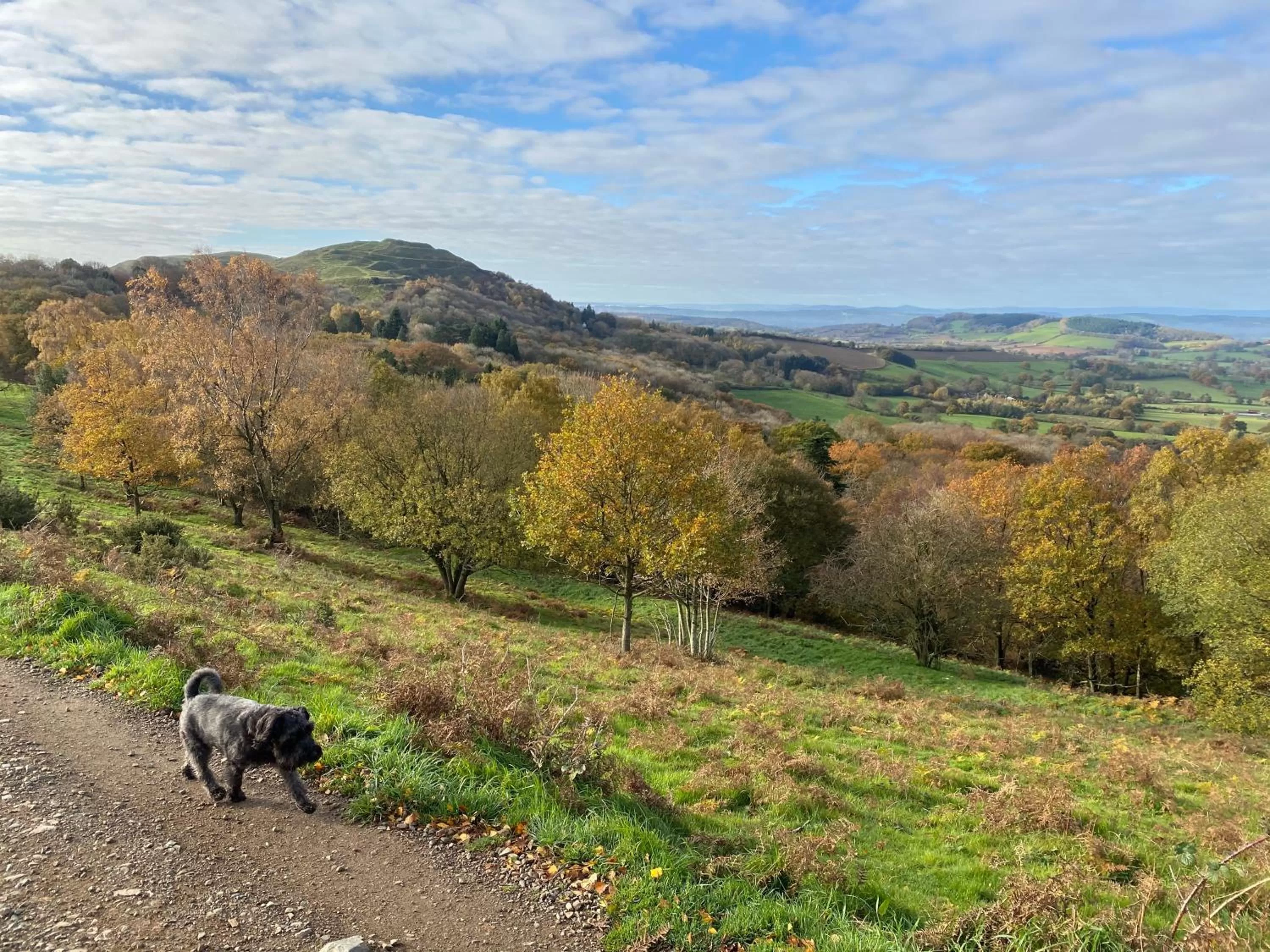 Natural landscape in Orchard Side Bed and Breakfast