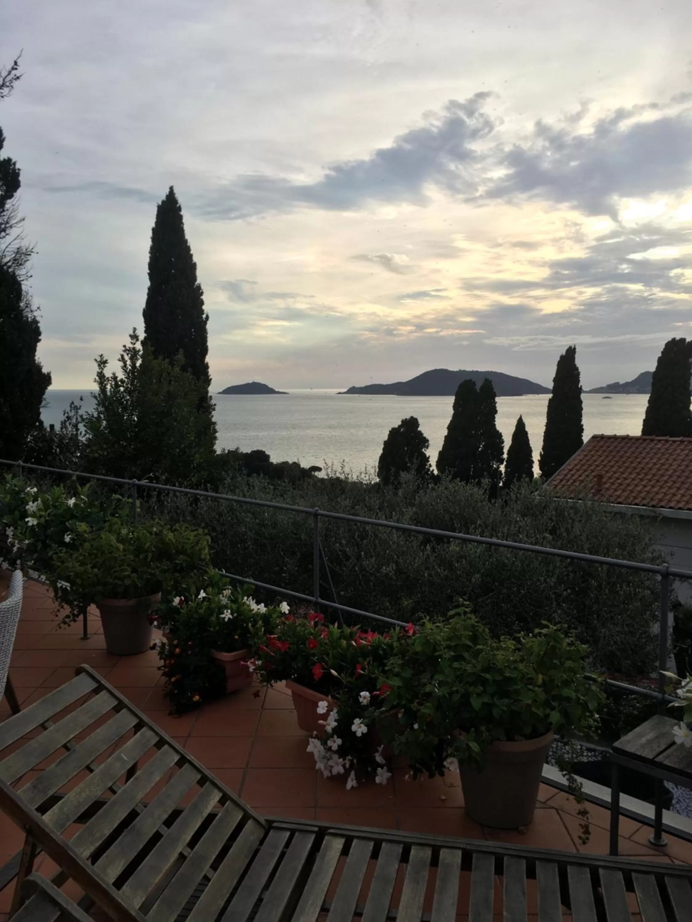 Balcony/Terrace in Velamica Resort