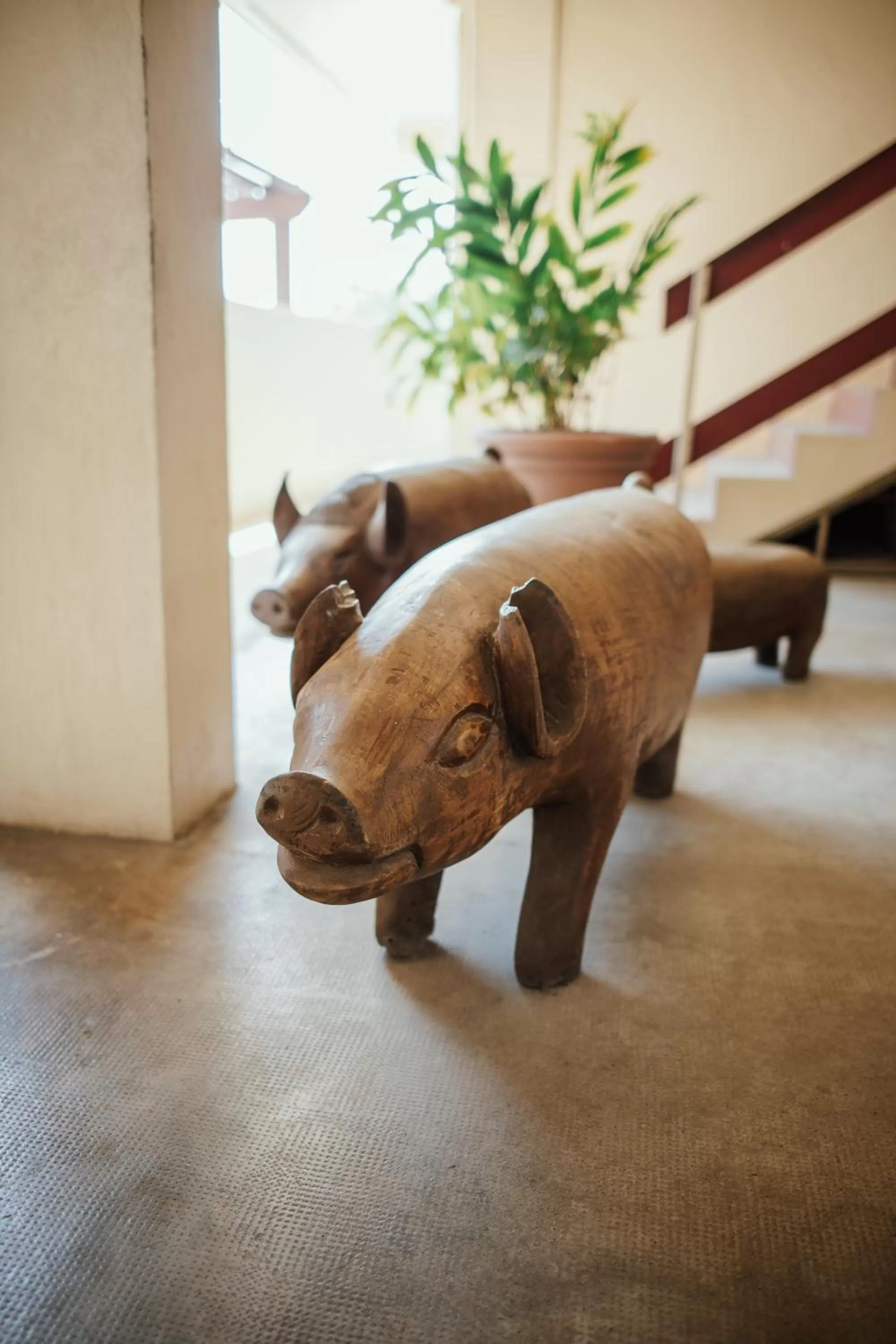 Other in Kaiviti Motel