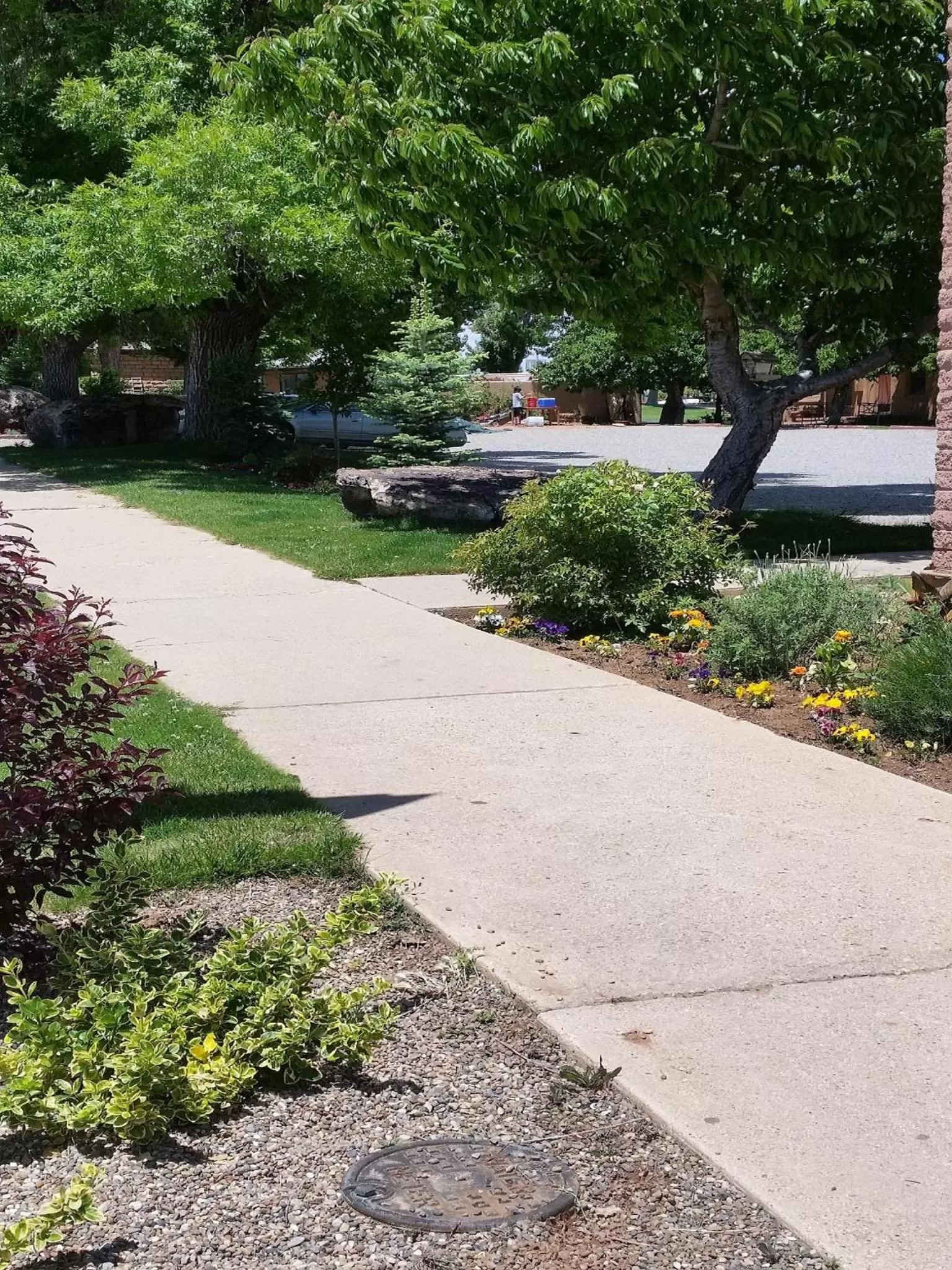 Day in Stone Lizard Lodge