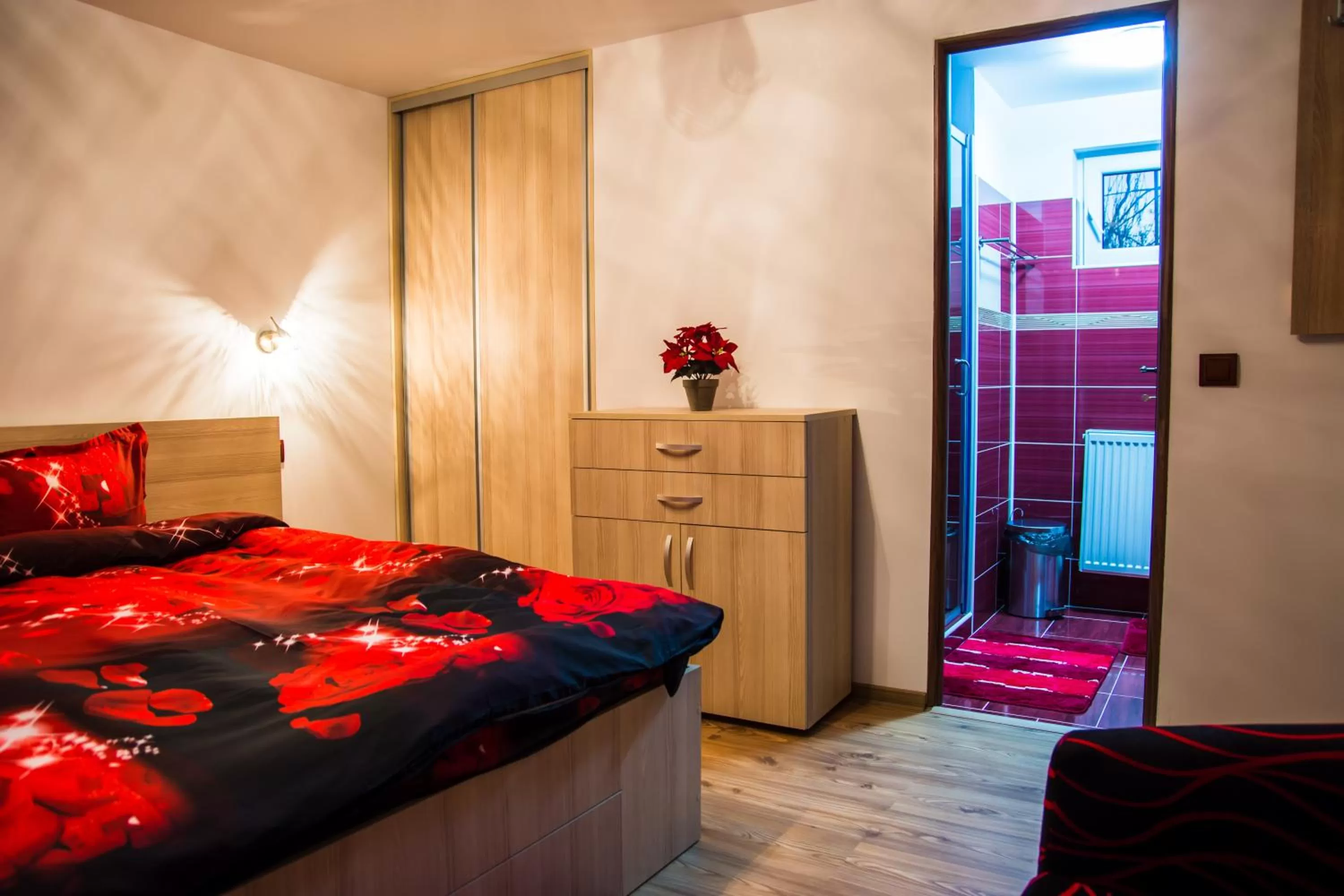 Property building in Pensiunea SilvAnka