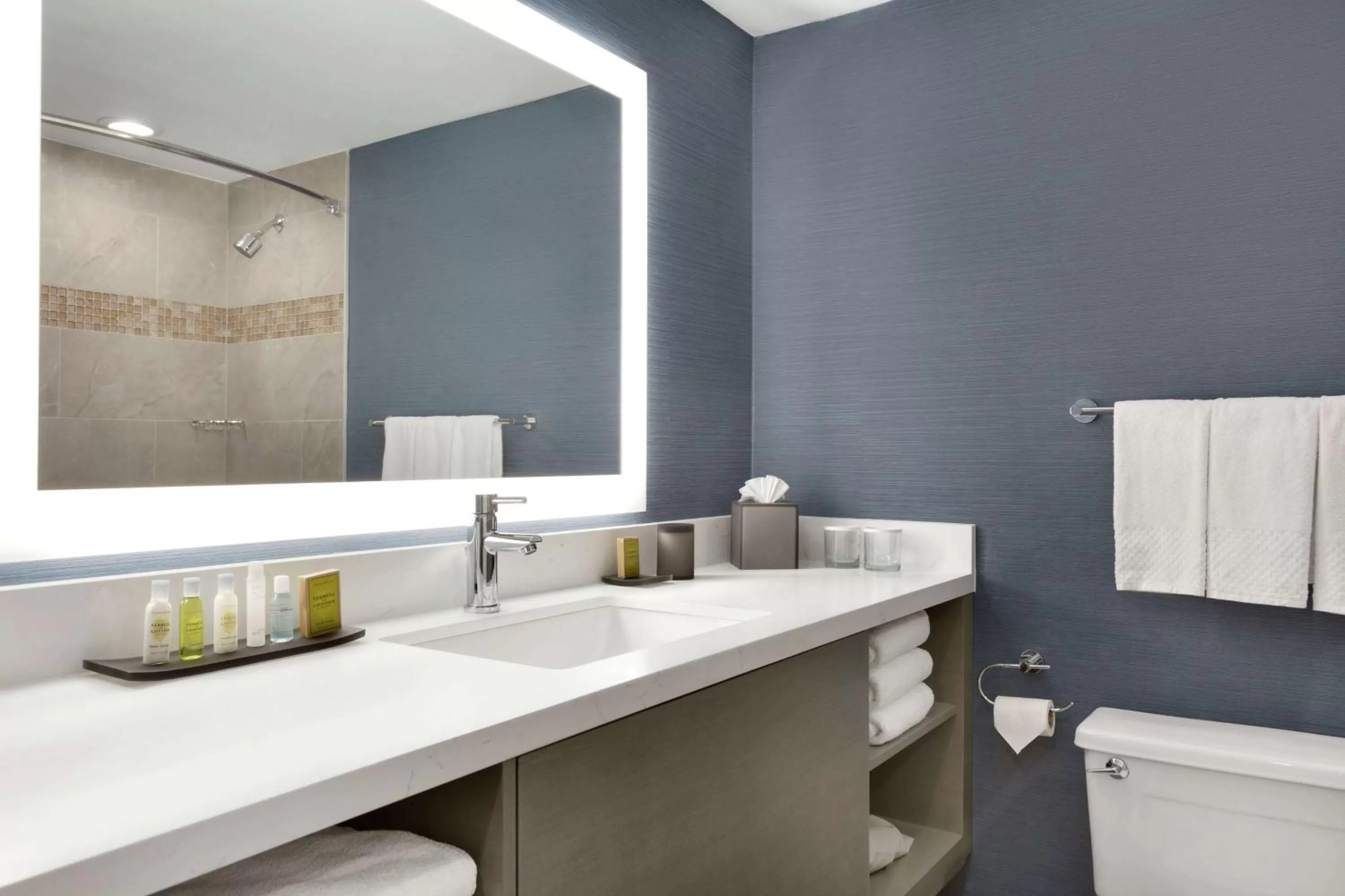 Bathroom in DoubleTree Suites by Hilton Hotel Boston - Cambridge