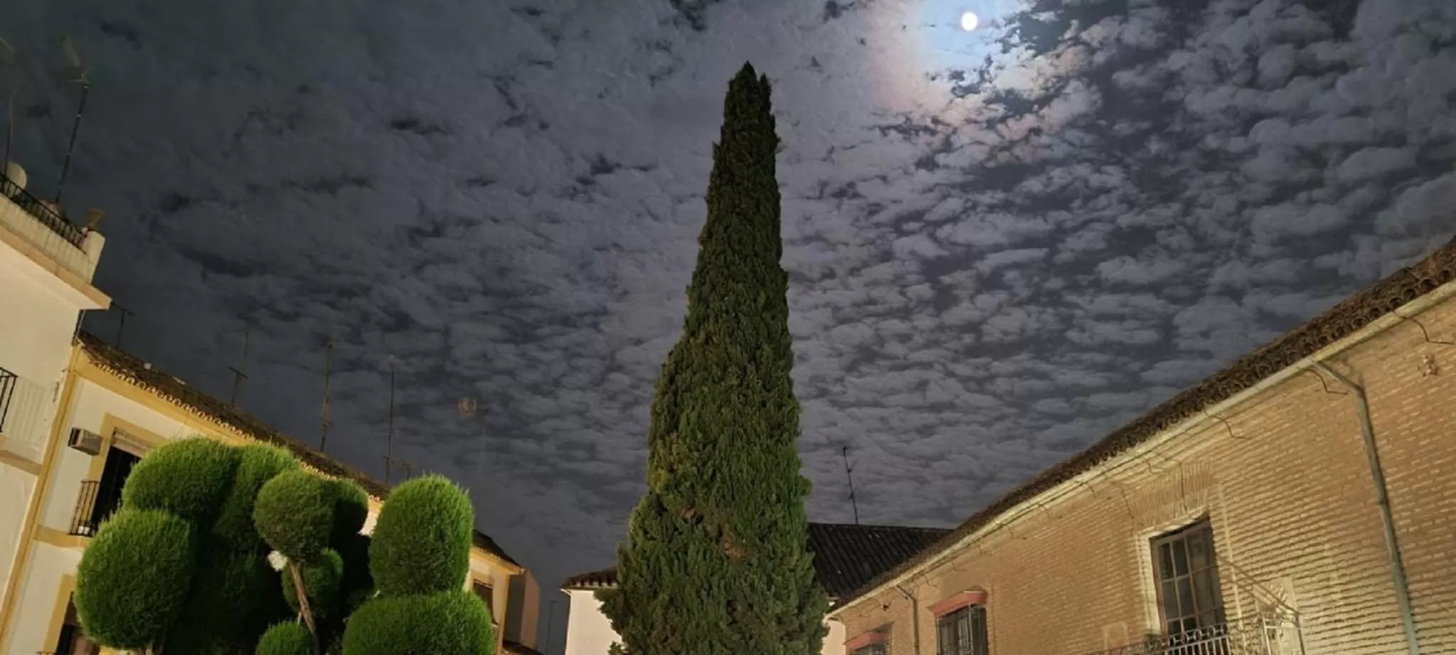 View (from property/room) in Hotel Plateros