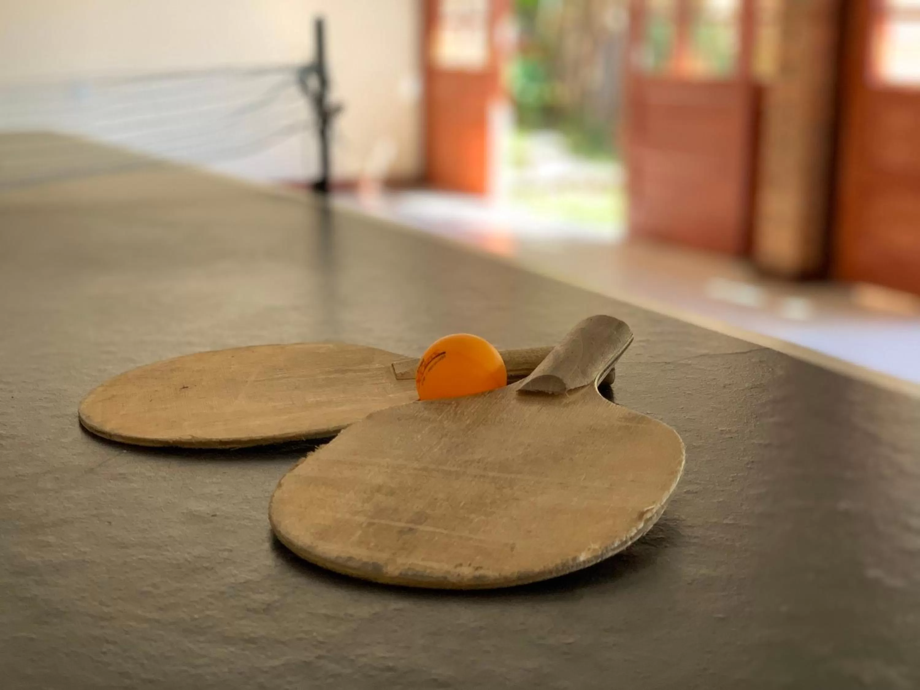 Area and facilities in Hotel São Sebastião da Praia