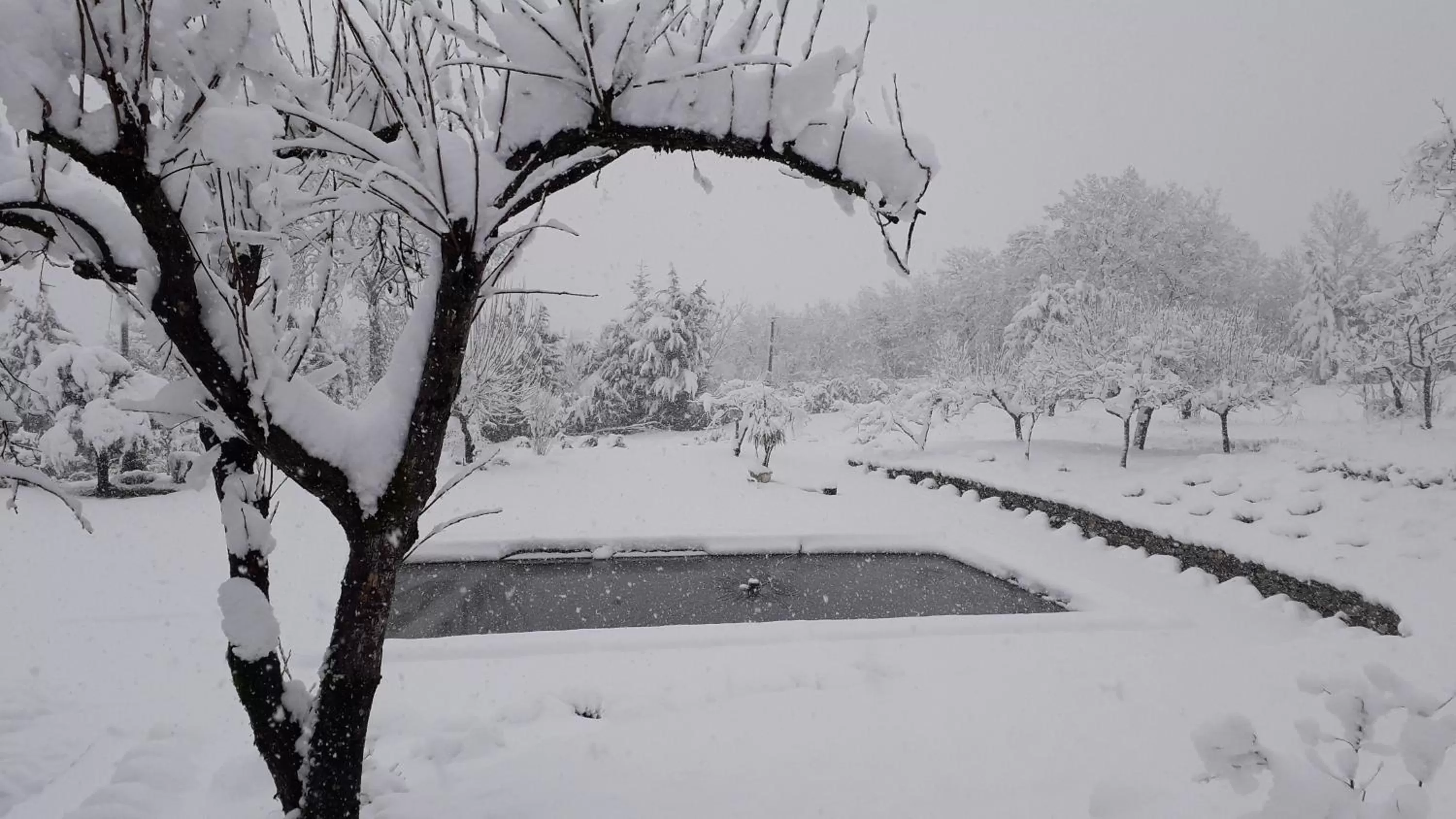 Masseria boutique b&b